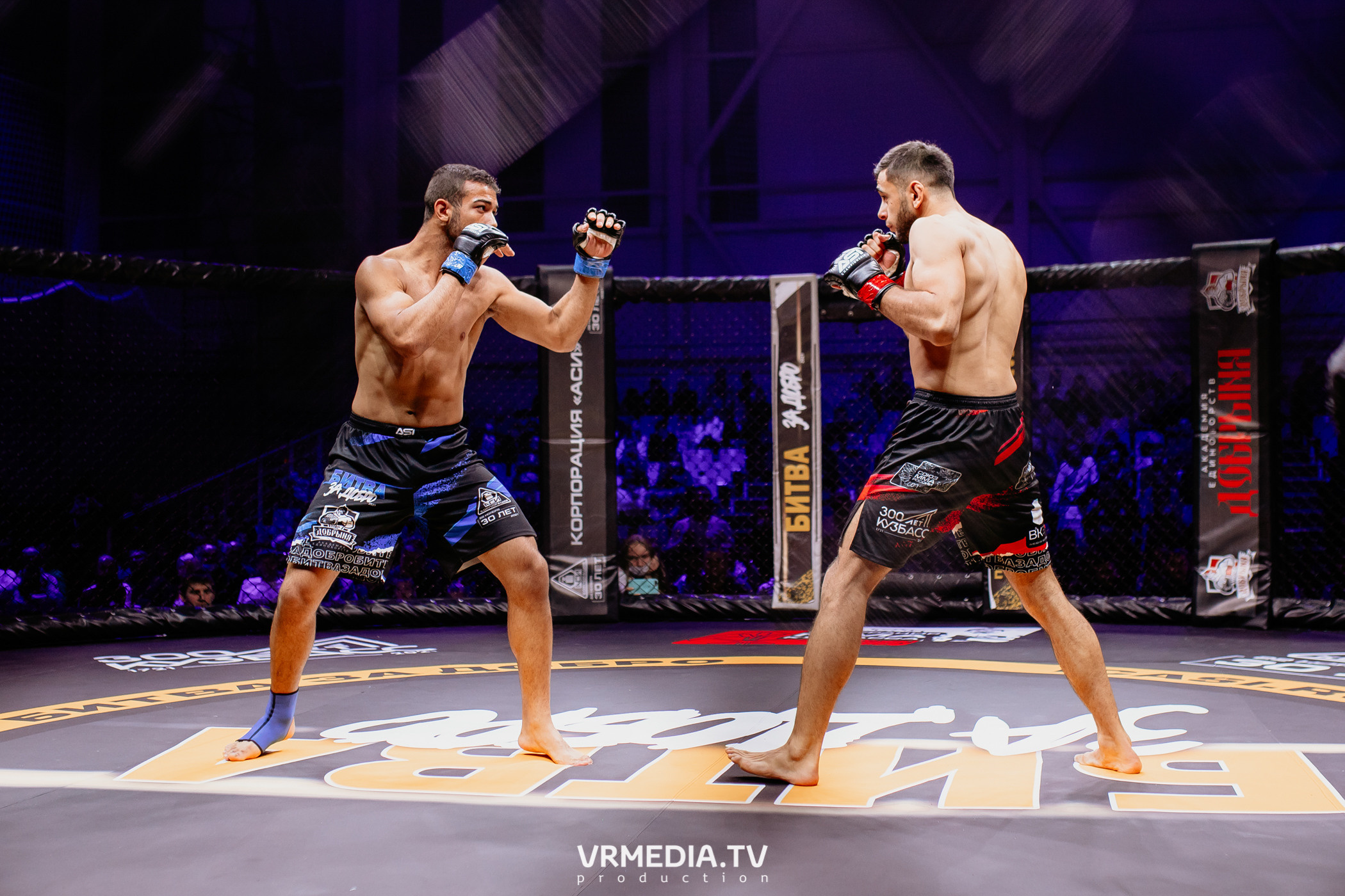 Благотворительный бойцовский турнир «Битва за добро»