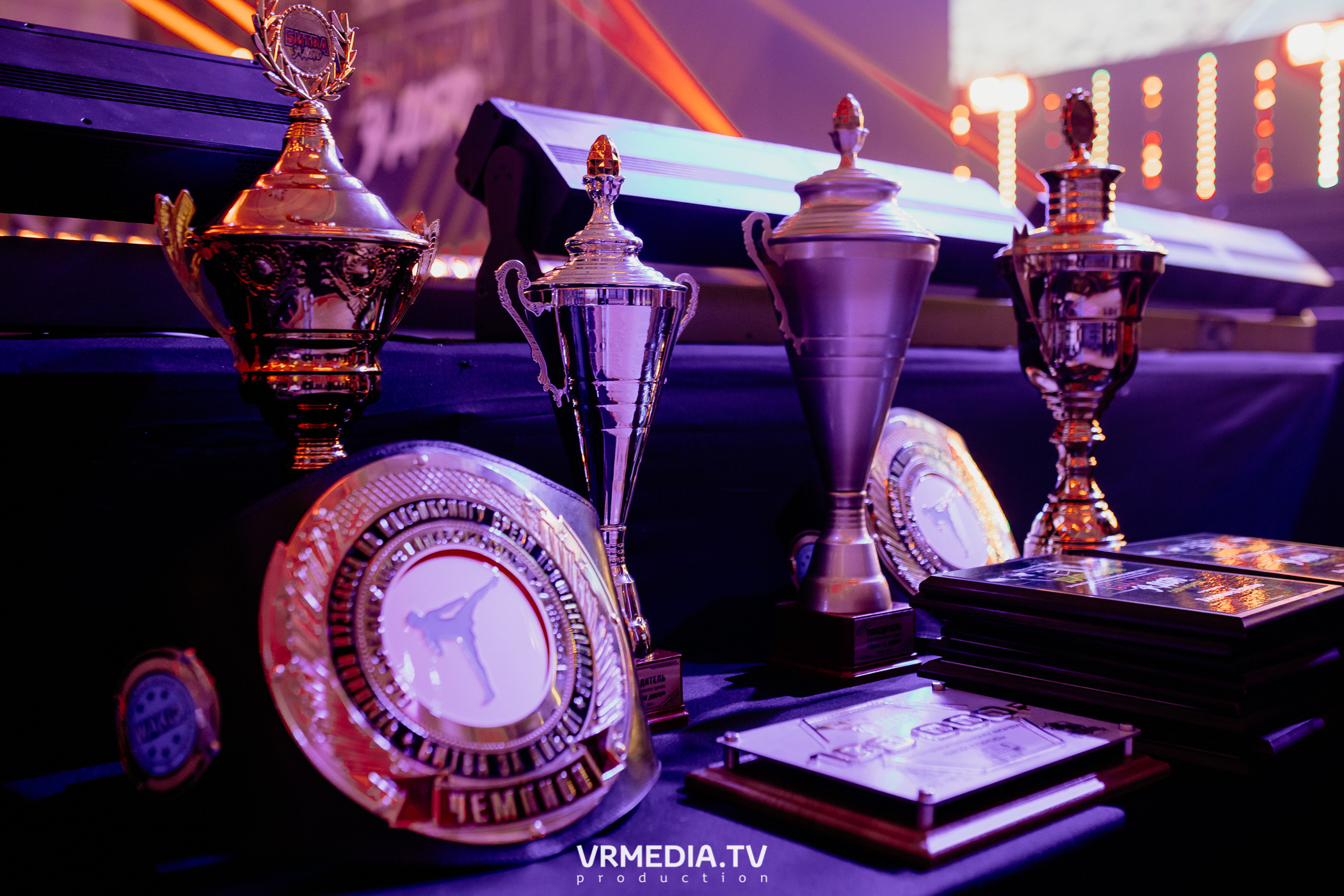 Благотворительный бойцовский турнир «Битва за добро»