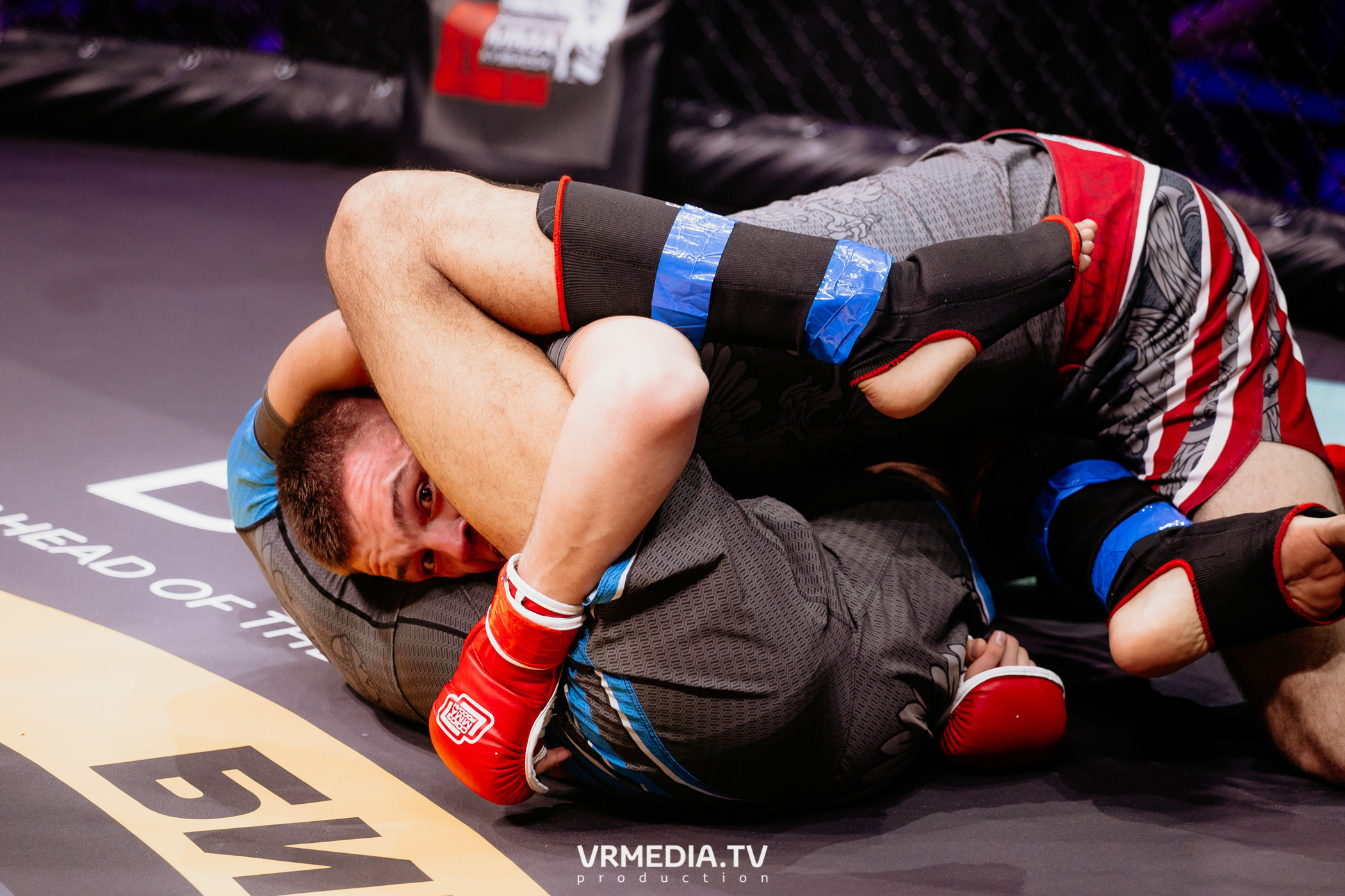 Благотворительный бойцовский турнир «Битва за добро»