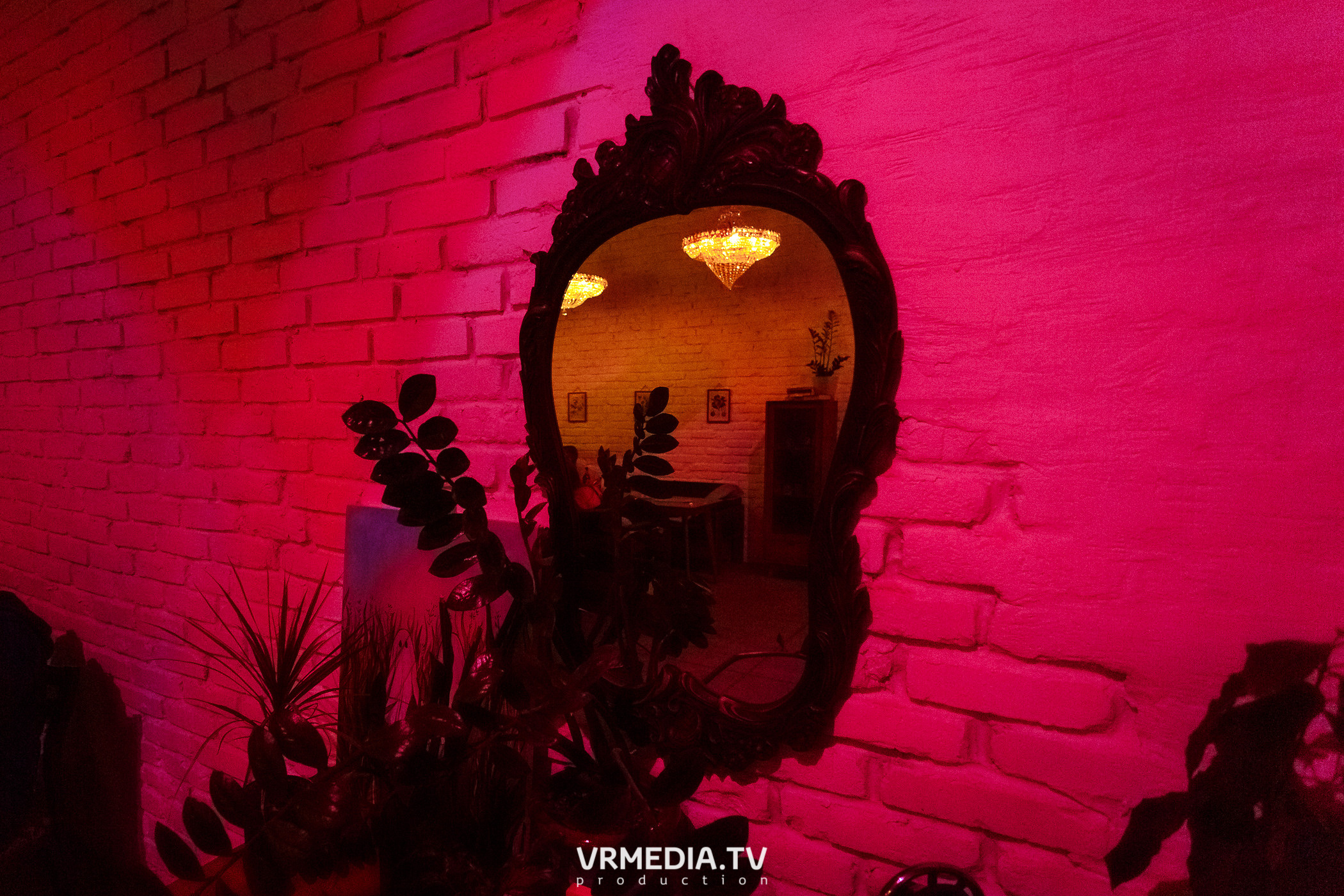 #Редакция_Лето. Культурное пространство «Редакция»