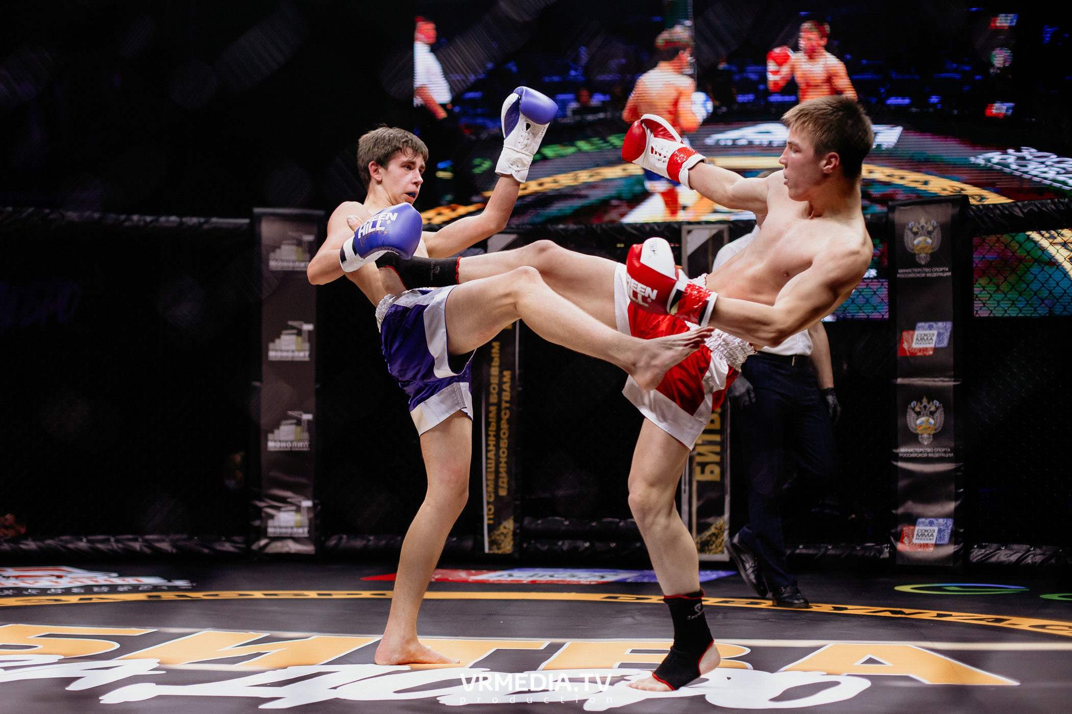 Благотворительный бойцовский турнир «Битва за добро»