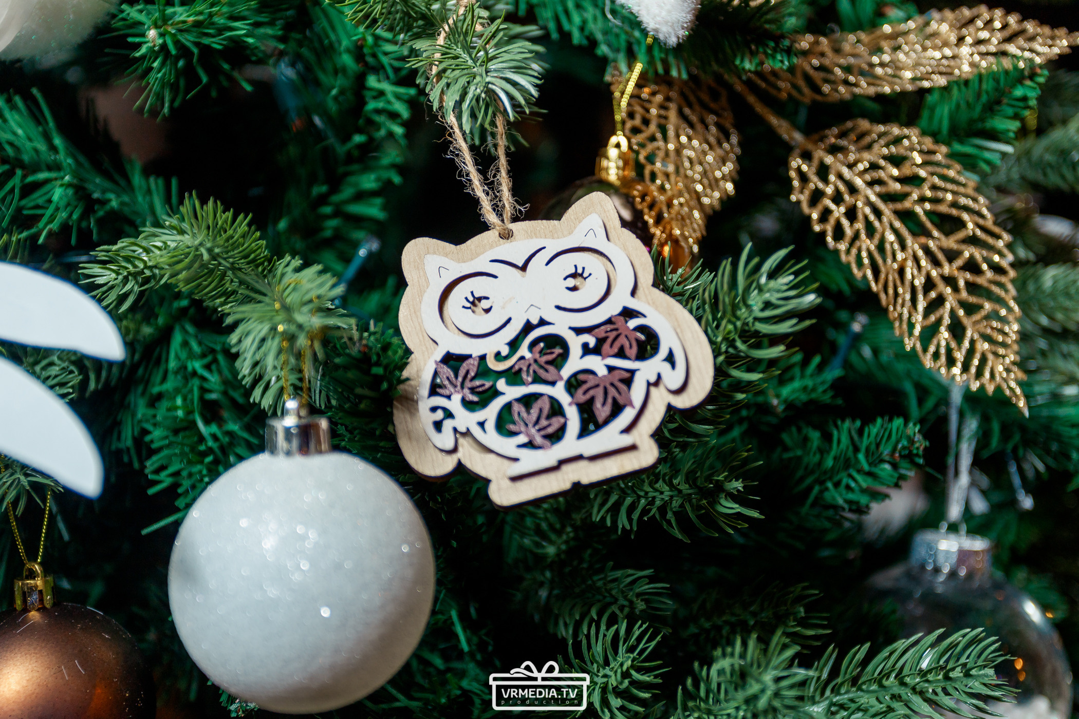 Полная ребусня. Советские мультфильмы