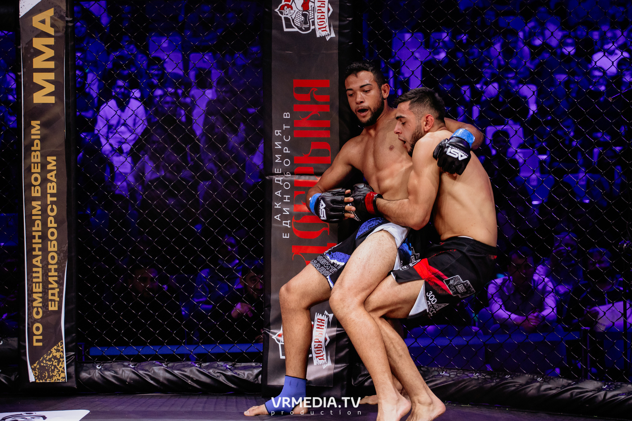 Благотворительный бойцовский турнир «Битва за добро»