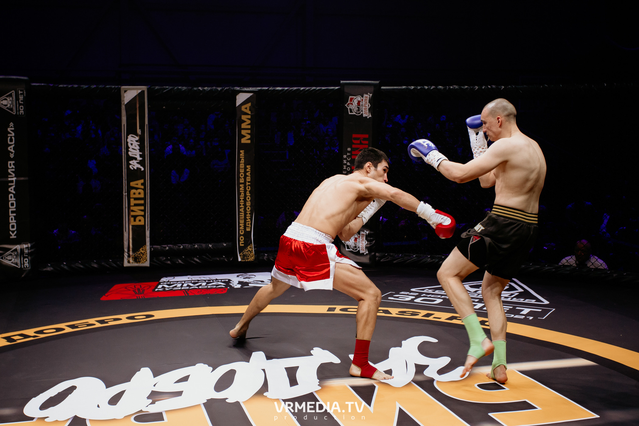 Благотворительный бойцовский турнир «Битва за добро»