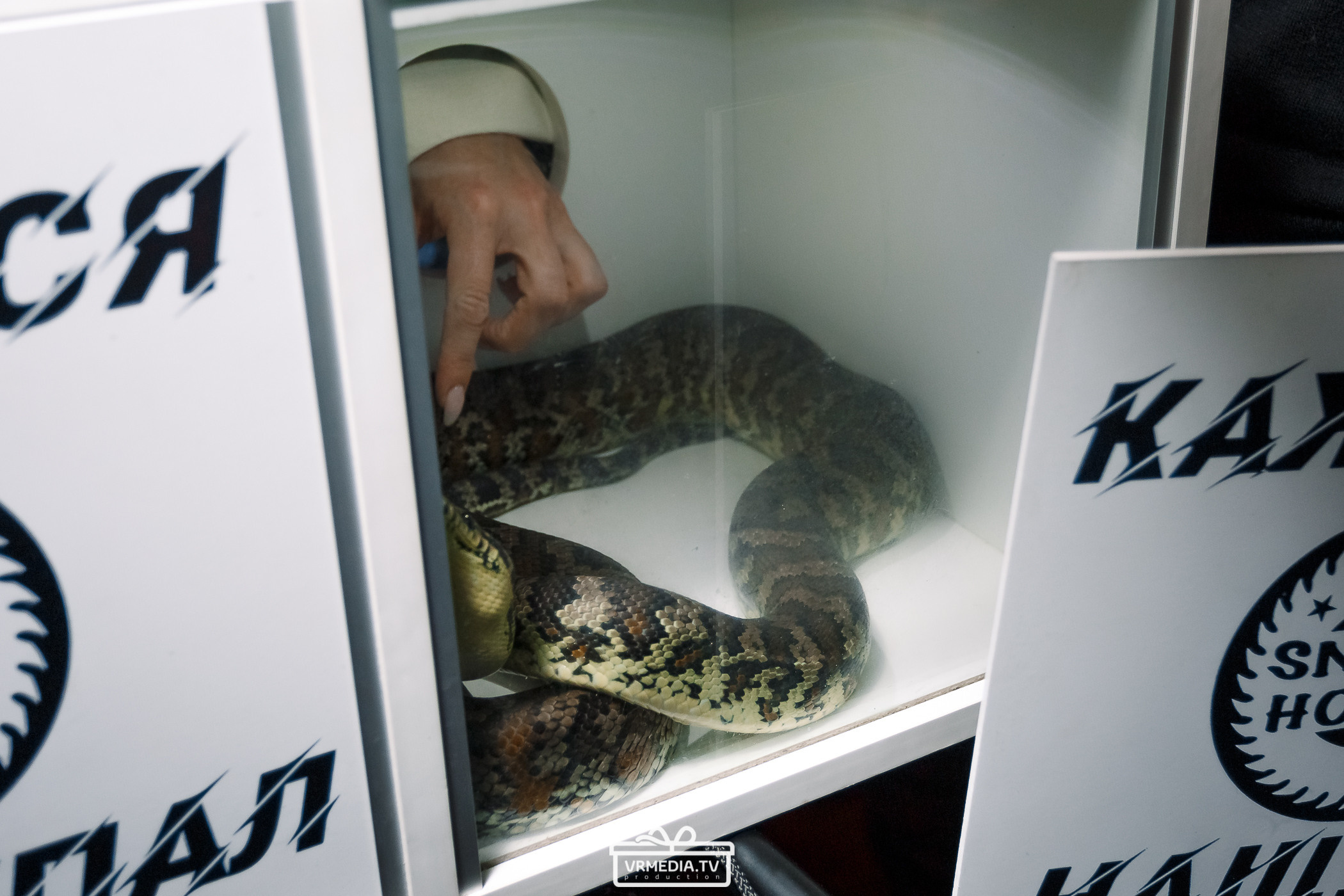 Выходные в «Alpen Club»