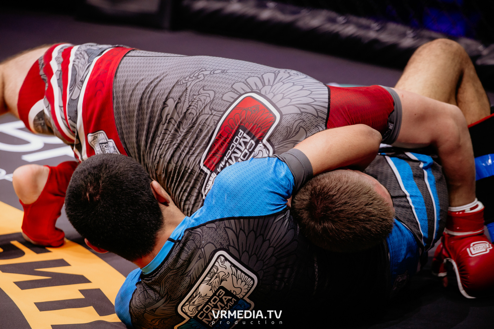 Благотворительный бойцовский турнир «Битва за добро»