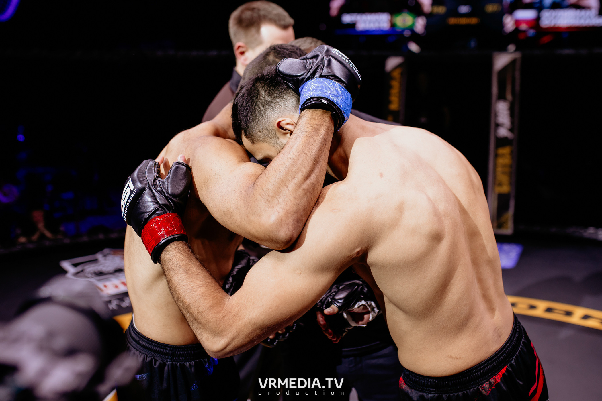 Благотворительный бойцовский турнир «Битва за добро»