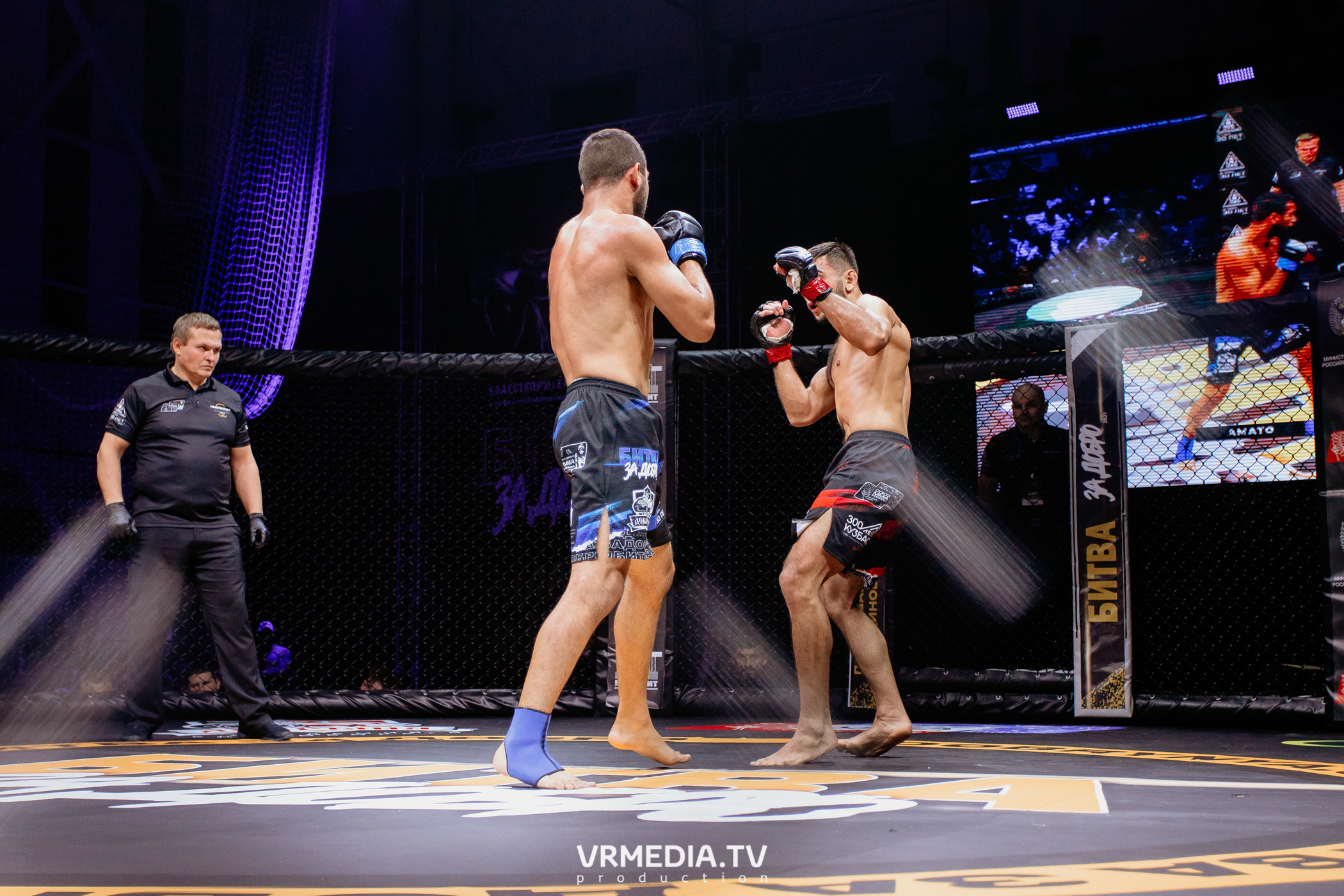 Благотворительный бойцовский турнир «Битва за добро»