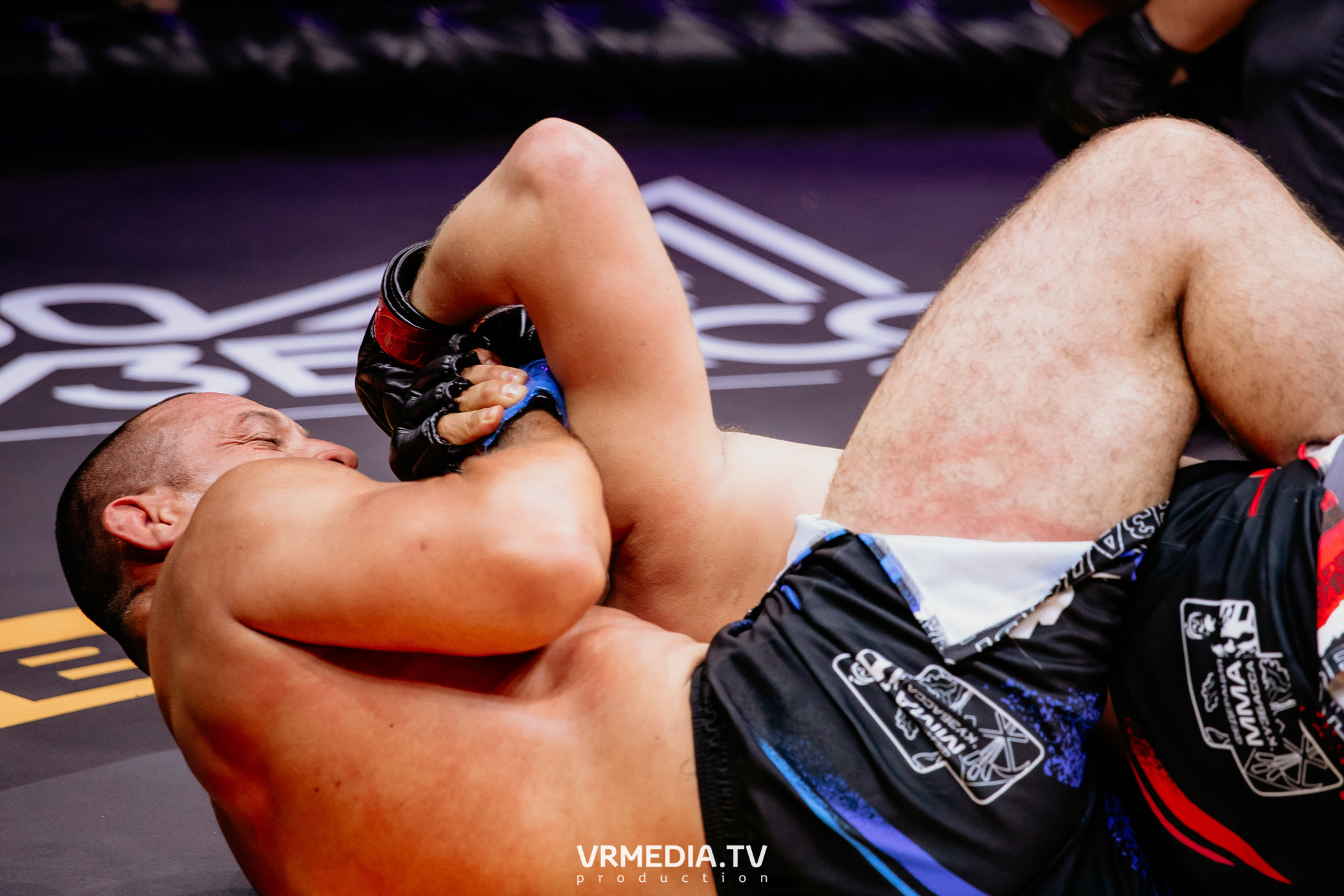 Благотворительный бойцовский турнир «Битва за добро»