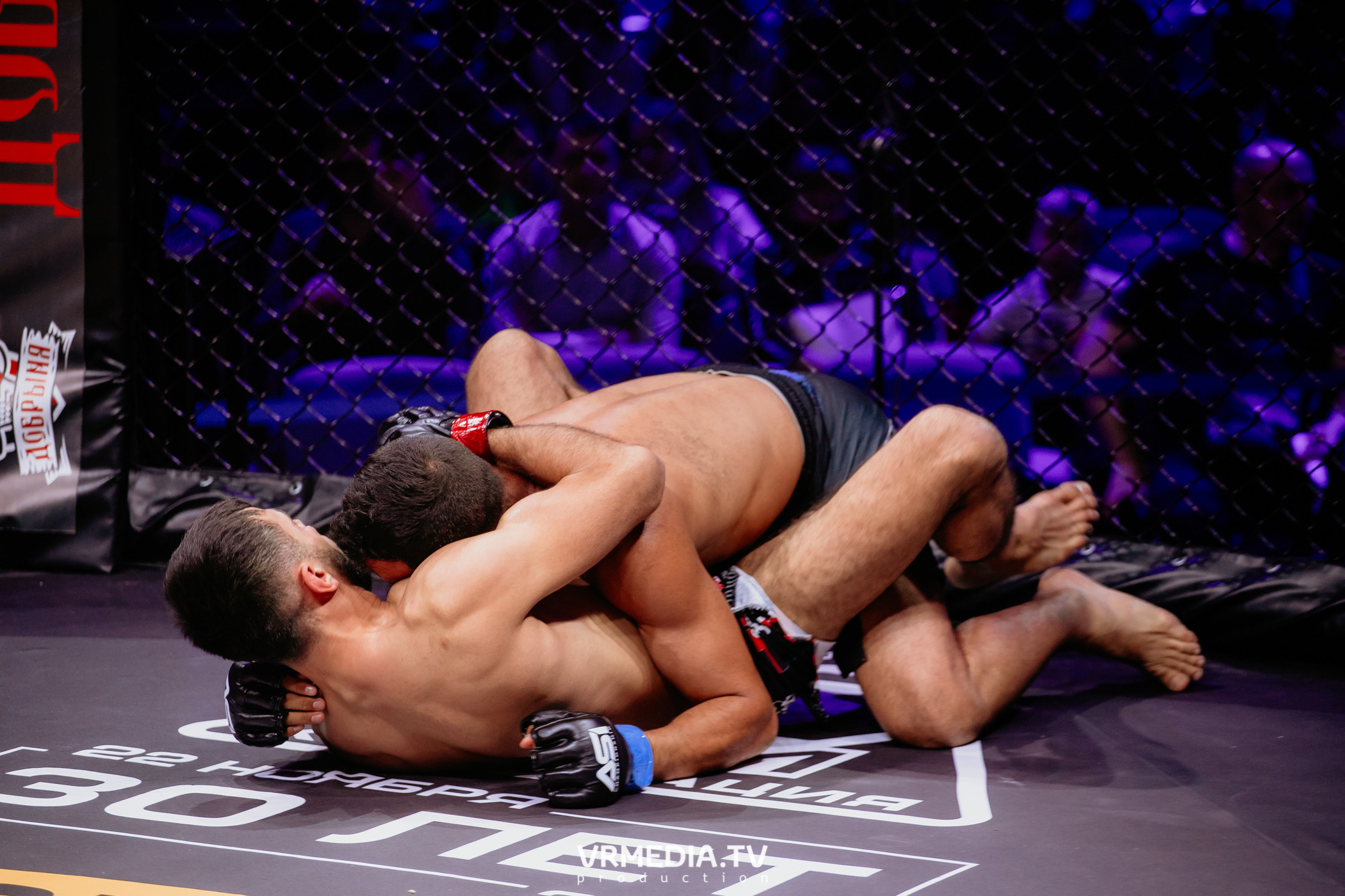 Благотворительный бойцовский турнир «Битва за добро»