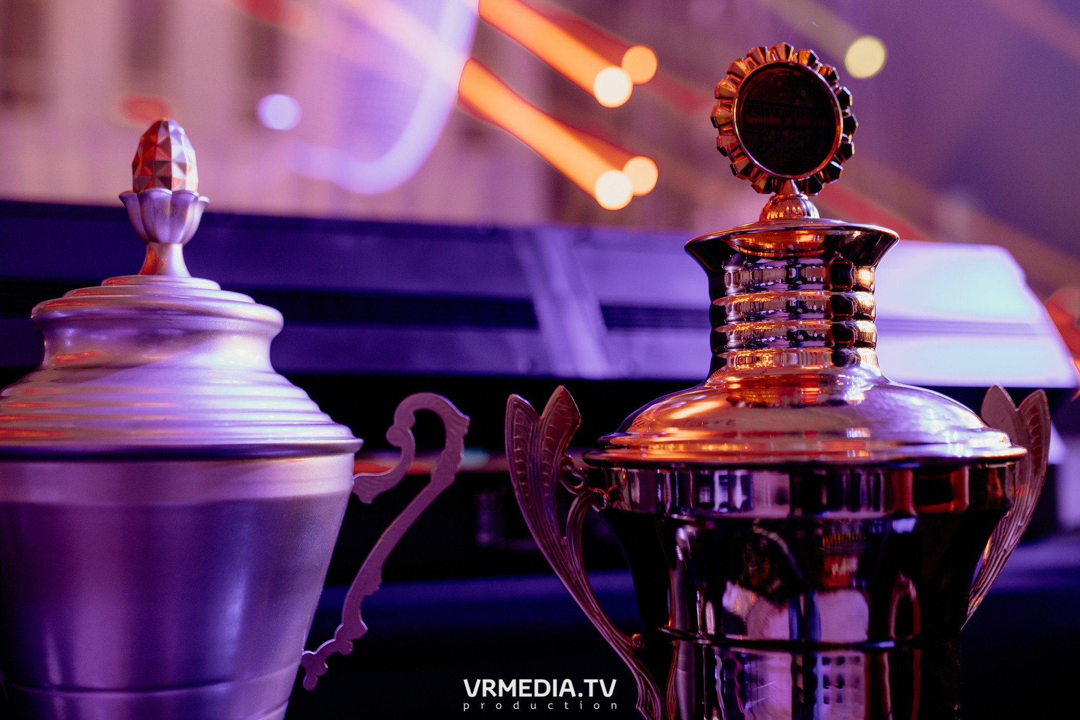 Благотворительный бойцовский турнир «Битва за добро»