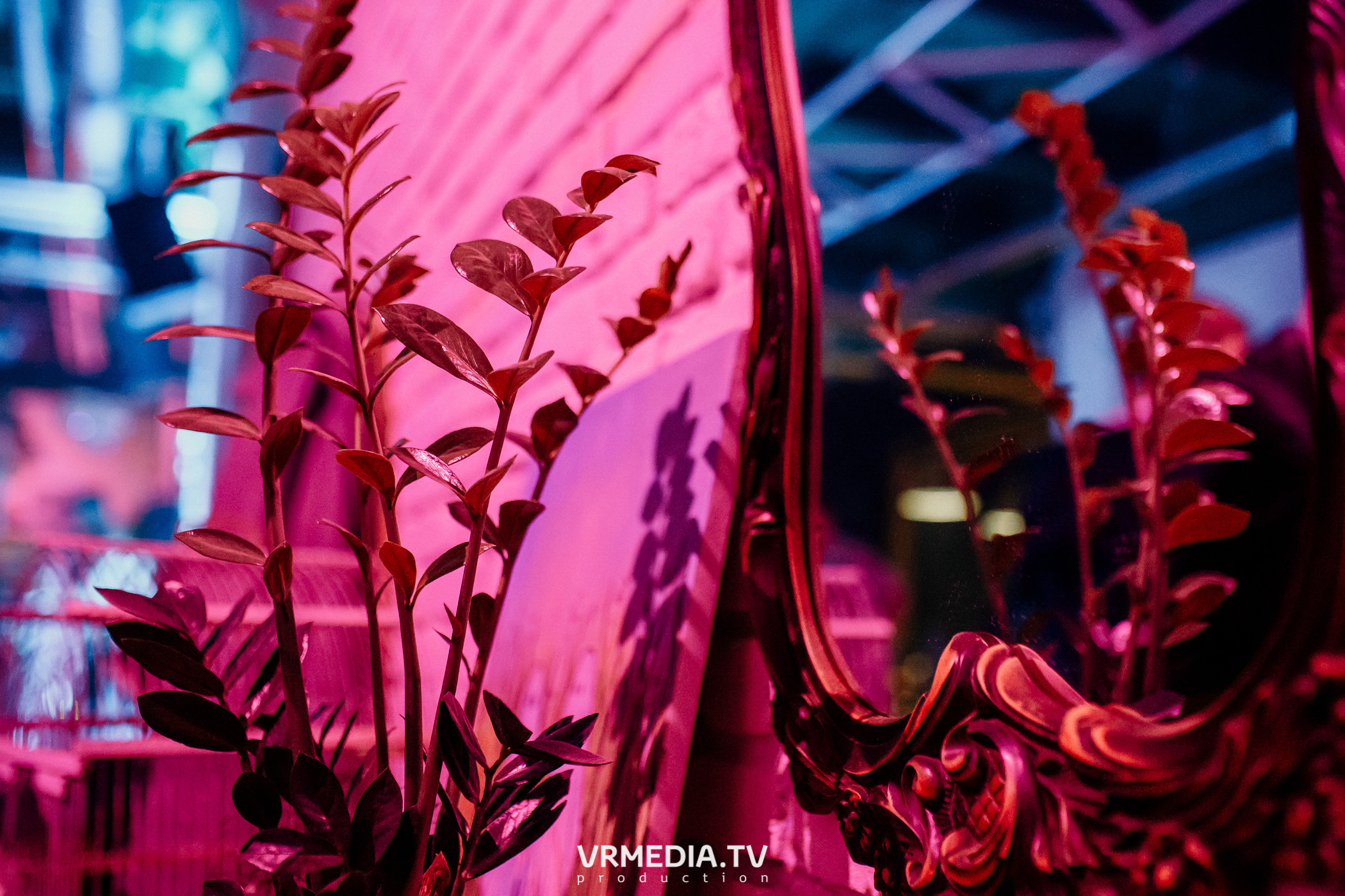 Just Dee B2B Saidex (Новокузнецк) в баре «Сервант»