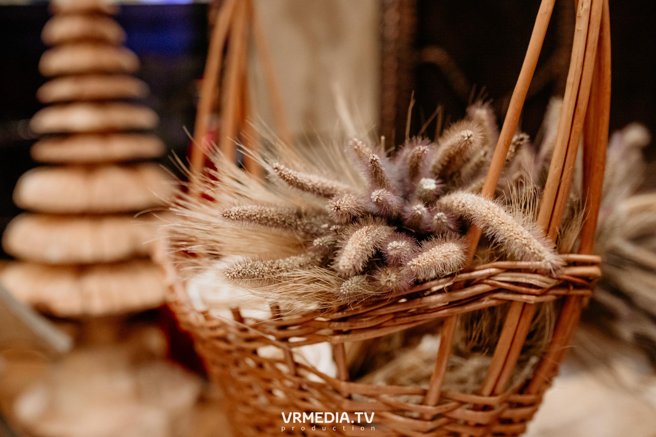 Выходные в «Alpen Club»