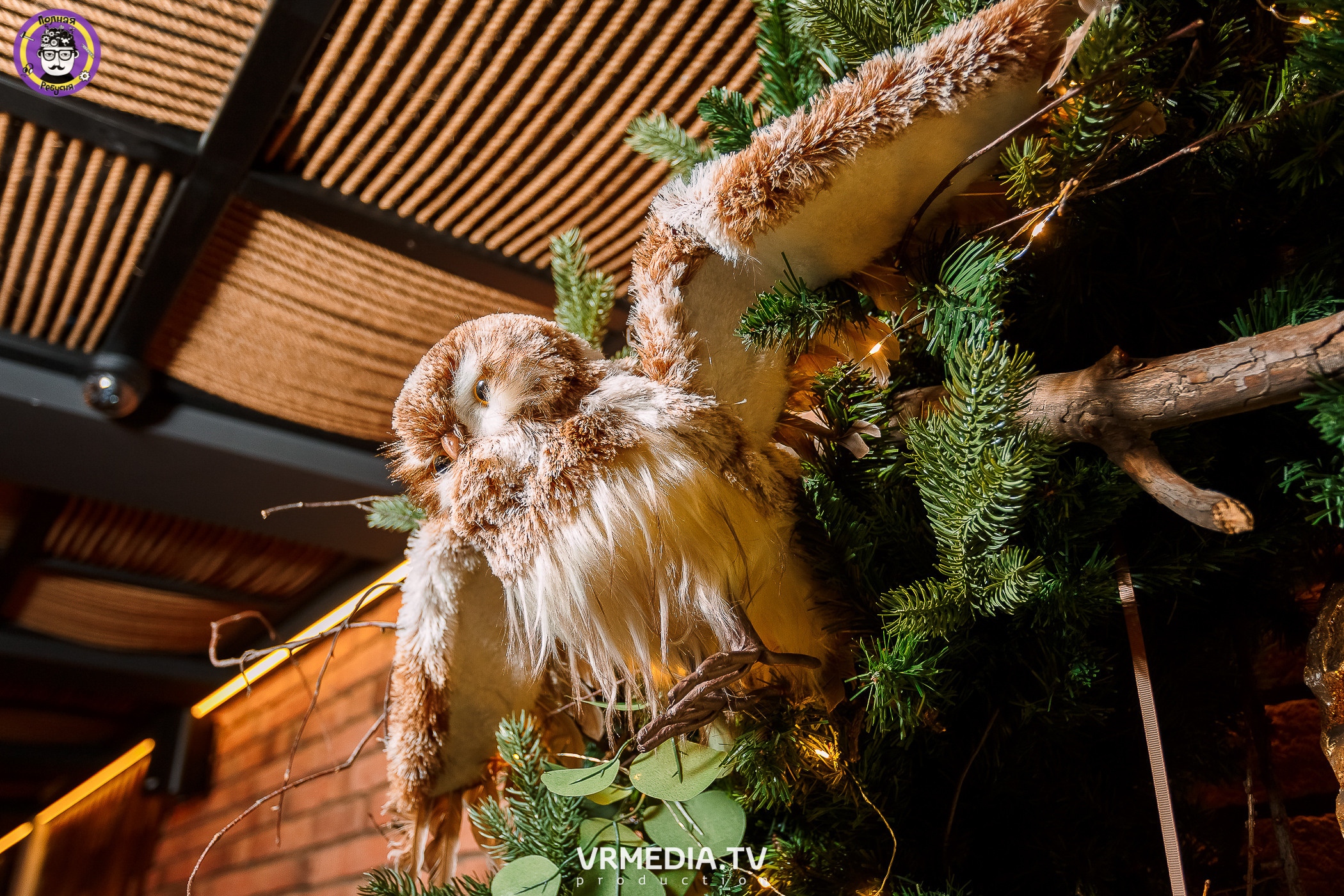 Полная Ребусня. #ЯЖМАТЬ