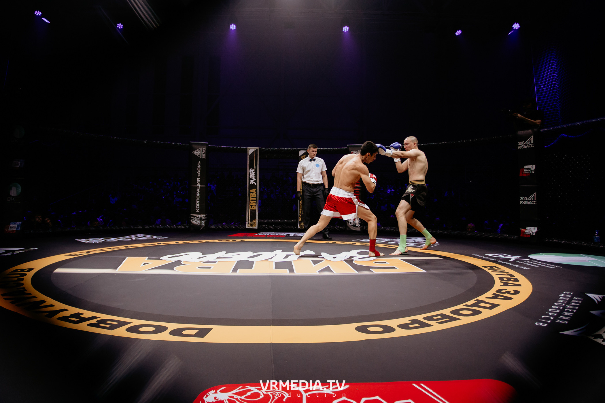 Благотворительный бойцовский турнир «Битва за добро»