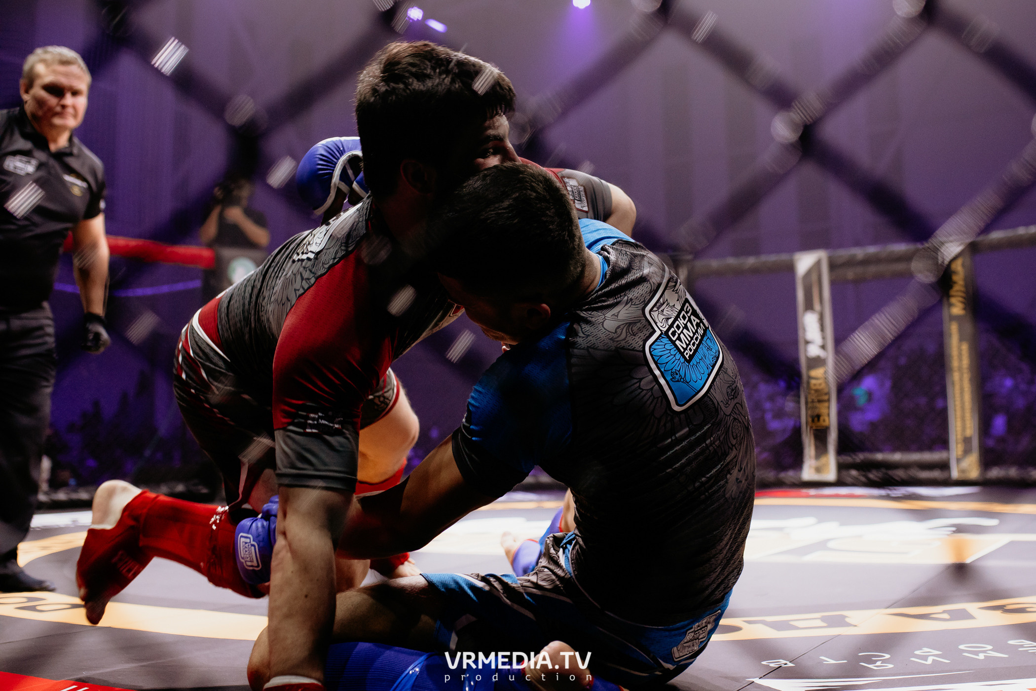 Благотворительный бойцовский турнир «Битва за добро»