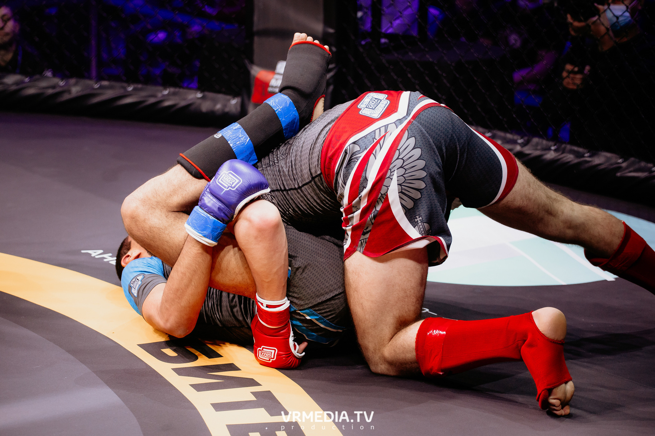 Благотворительный бойцовский турнир «Битва за добро»