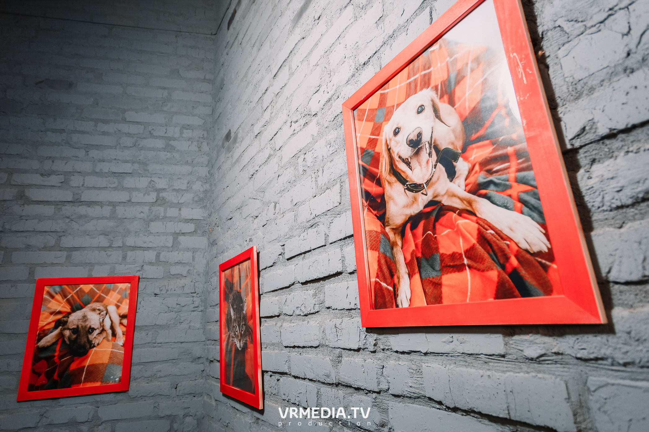 Backstage. Блог «С бизнесом на ТЫ!»: Баграт Агажанов