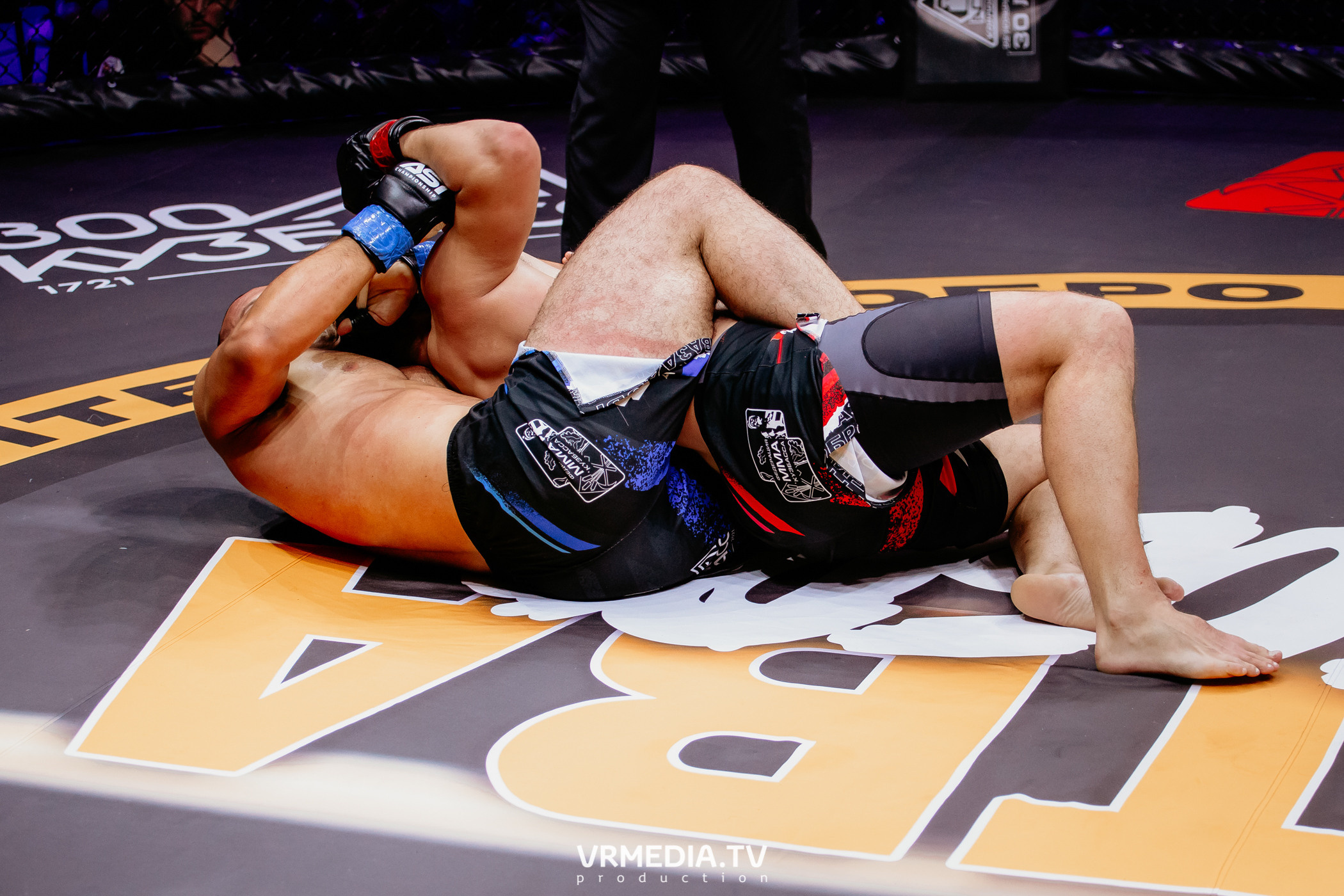 Благотворительный бойцовский турнир «Битва за добро»