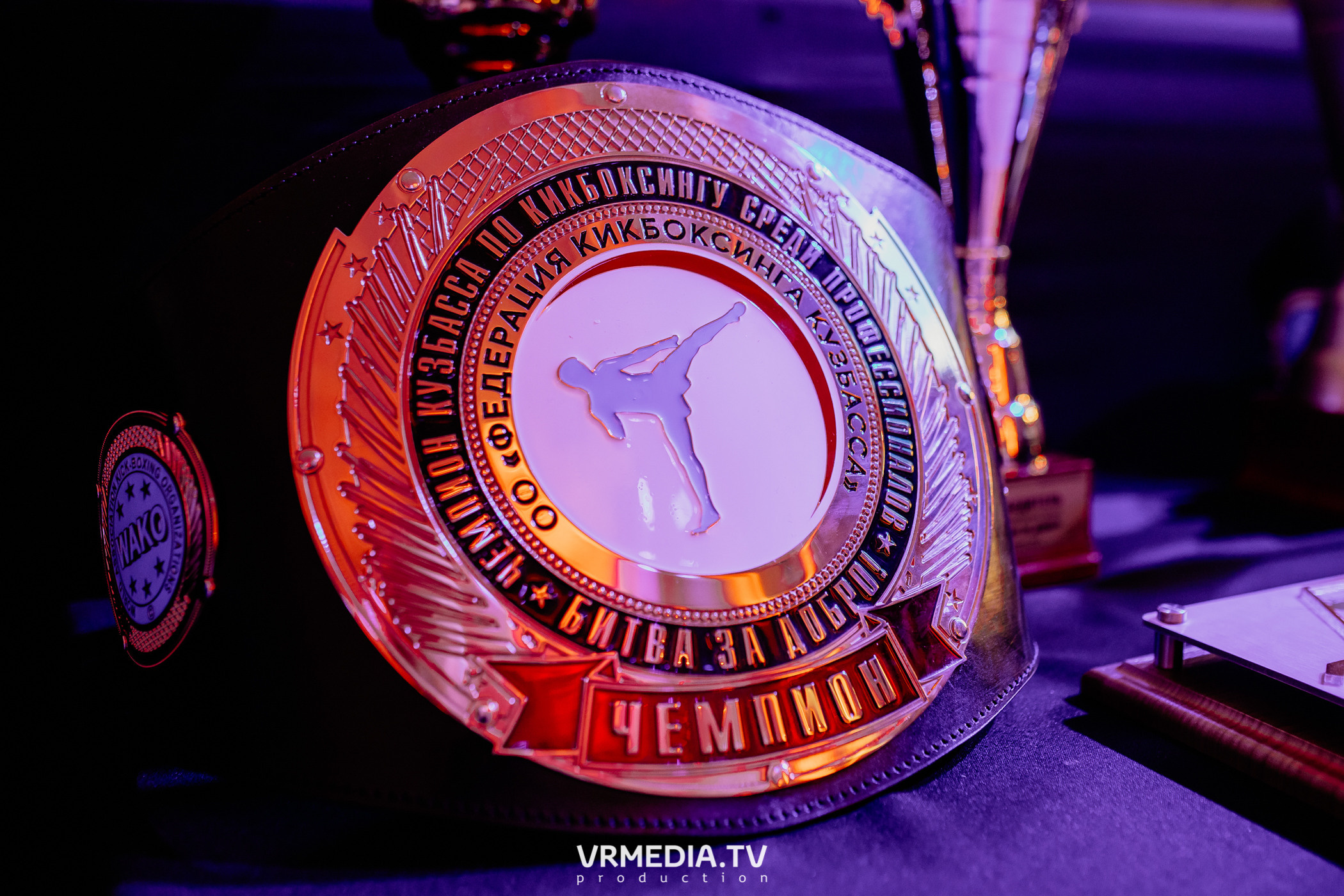 Благотворительный бойцовский турнир «Битва за добро»