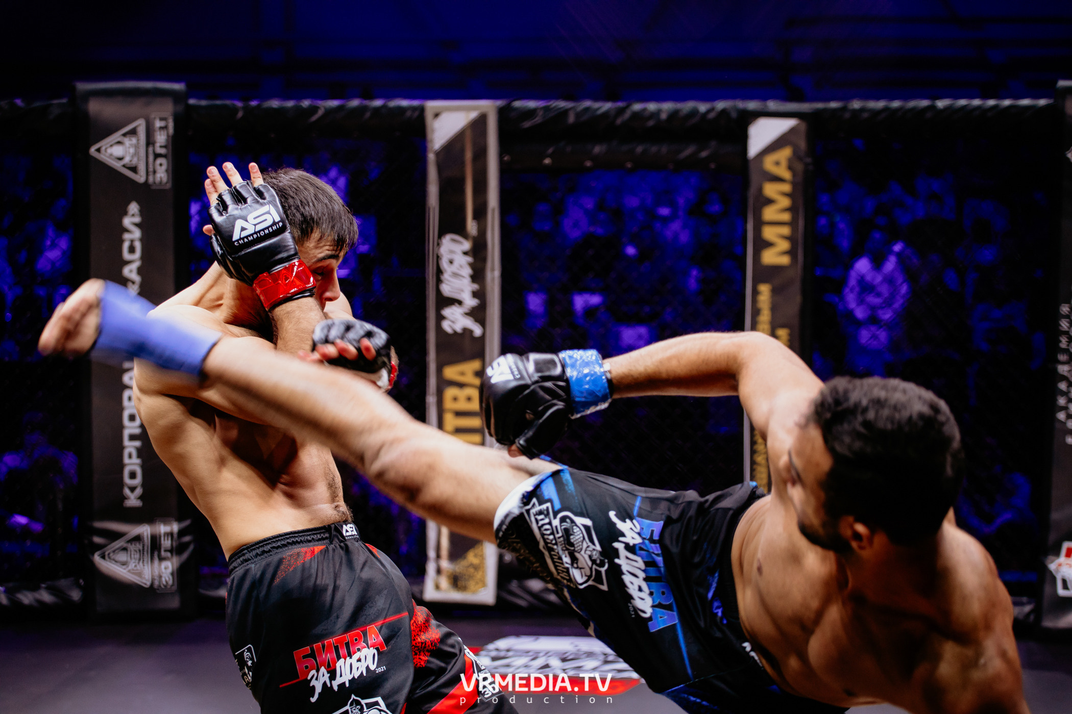 Благотворительный бойцовский турнир «Битва за добро»