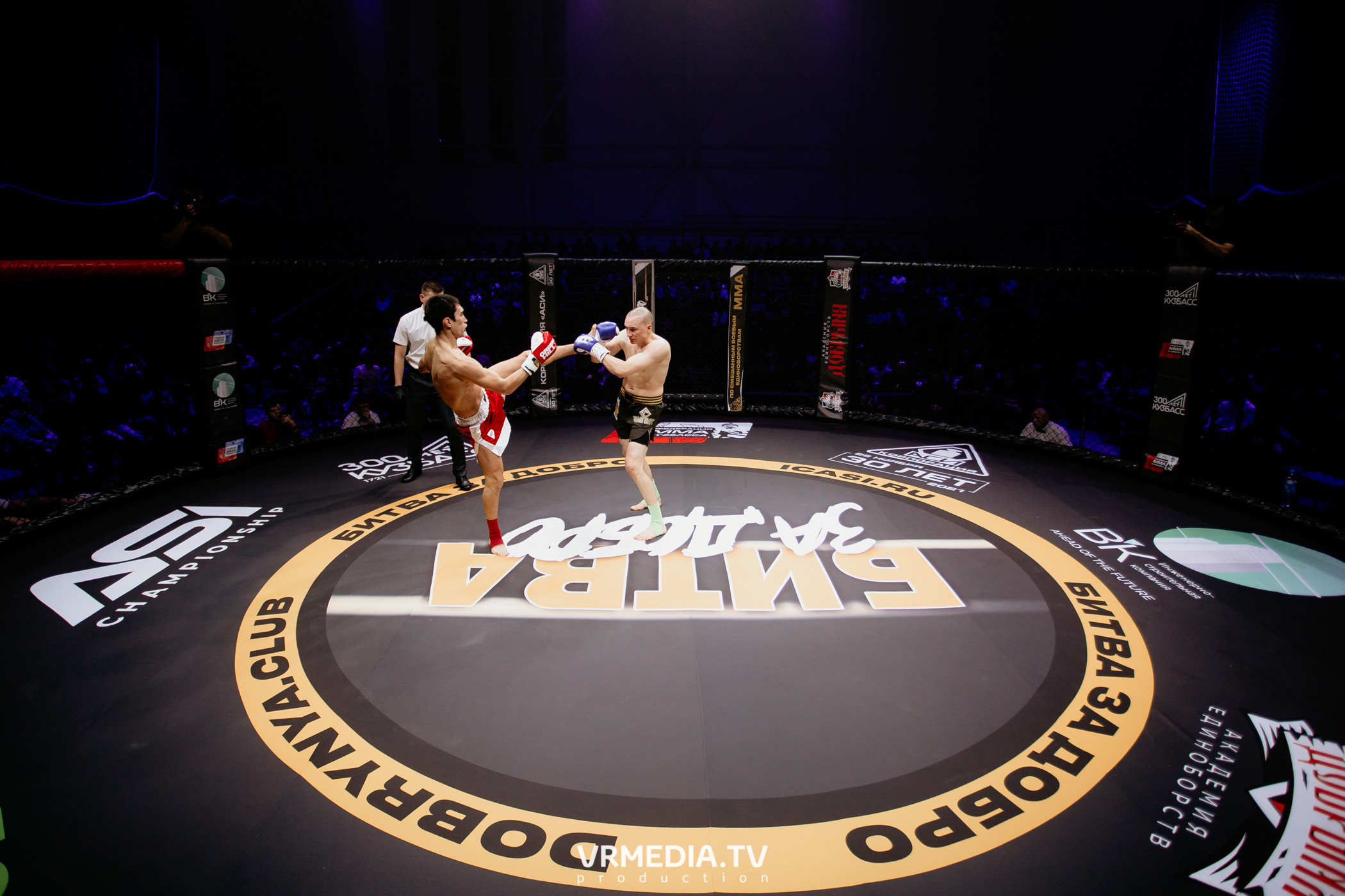 Благотворительный бойцовский турнир «Битва за добро»