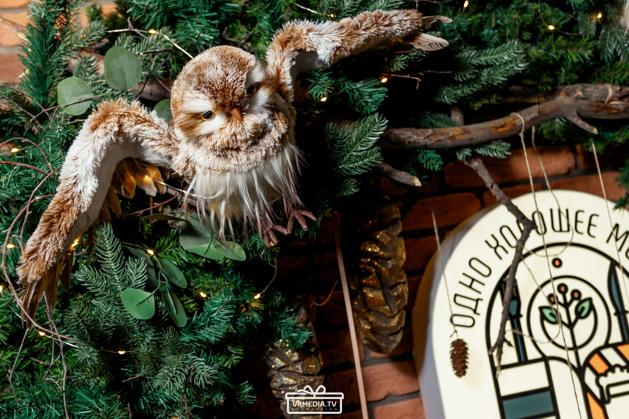 Полная ребусня. Советские мультфильмы