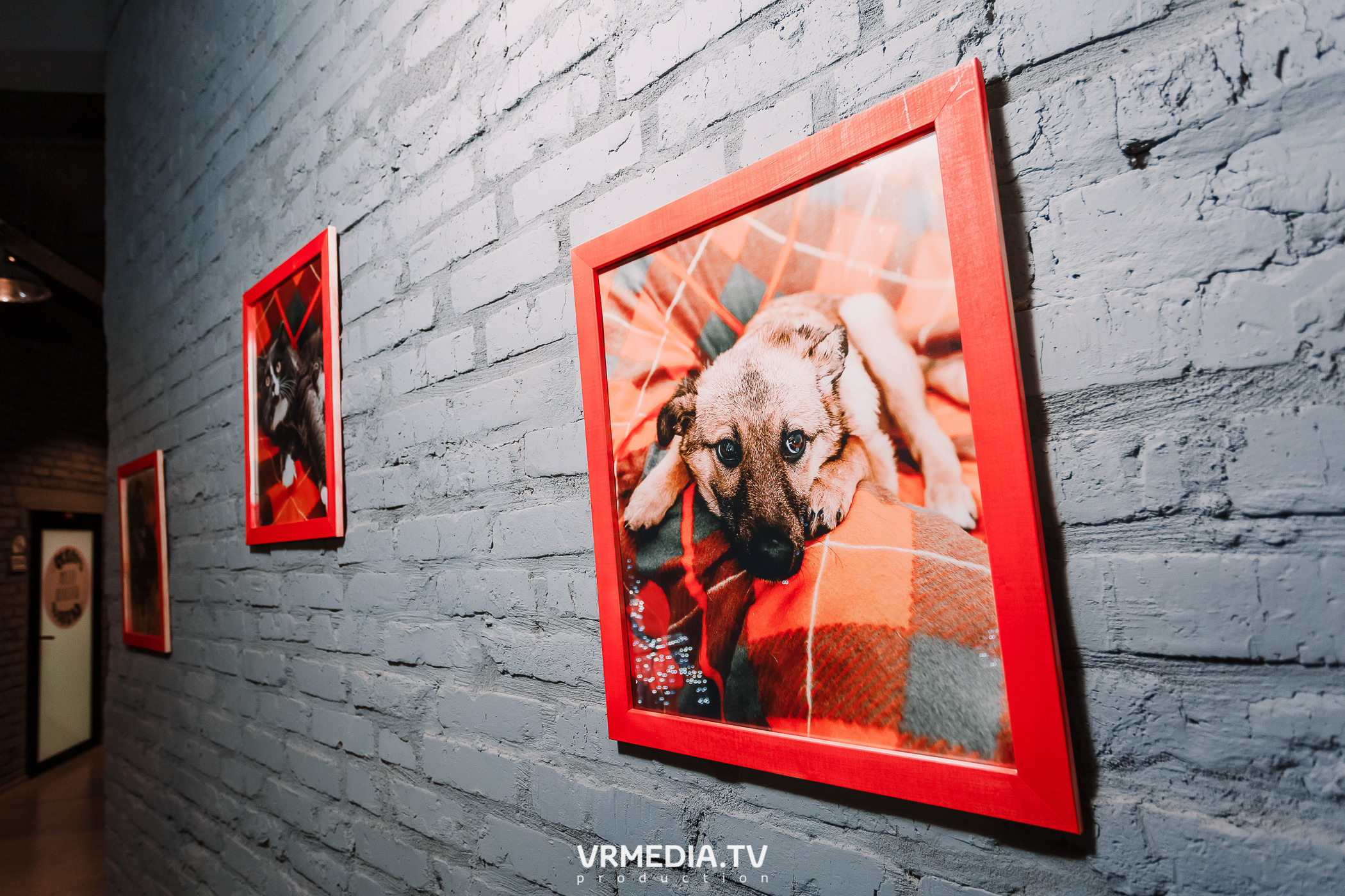 Backstage. Блог «С бизнесом на ТЫ!»: Баграт Агажанов