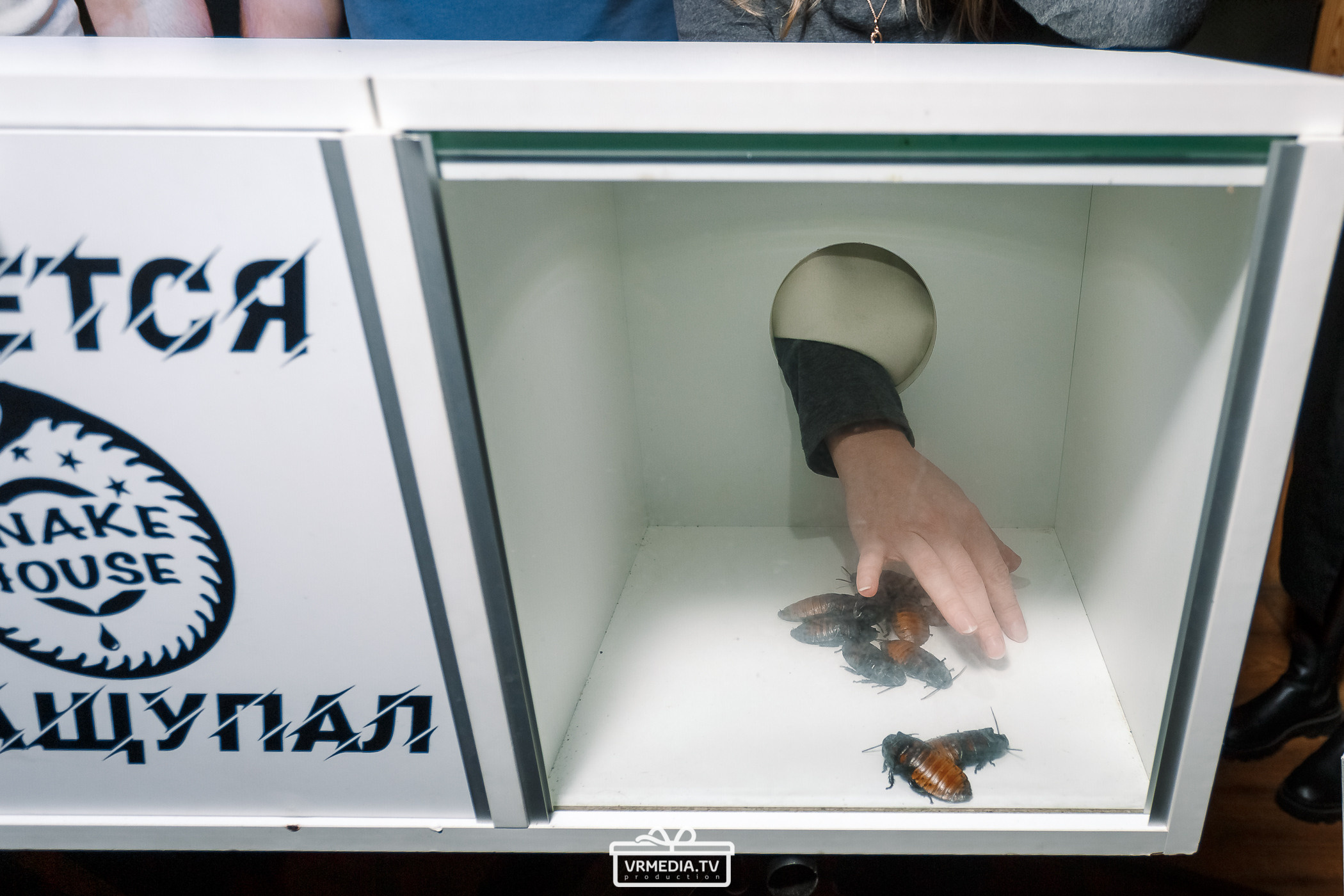 Выходные в «Alpen Club»