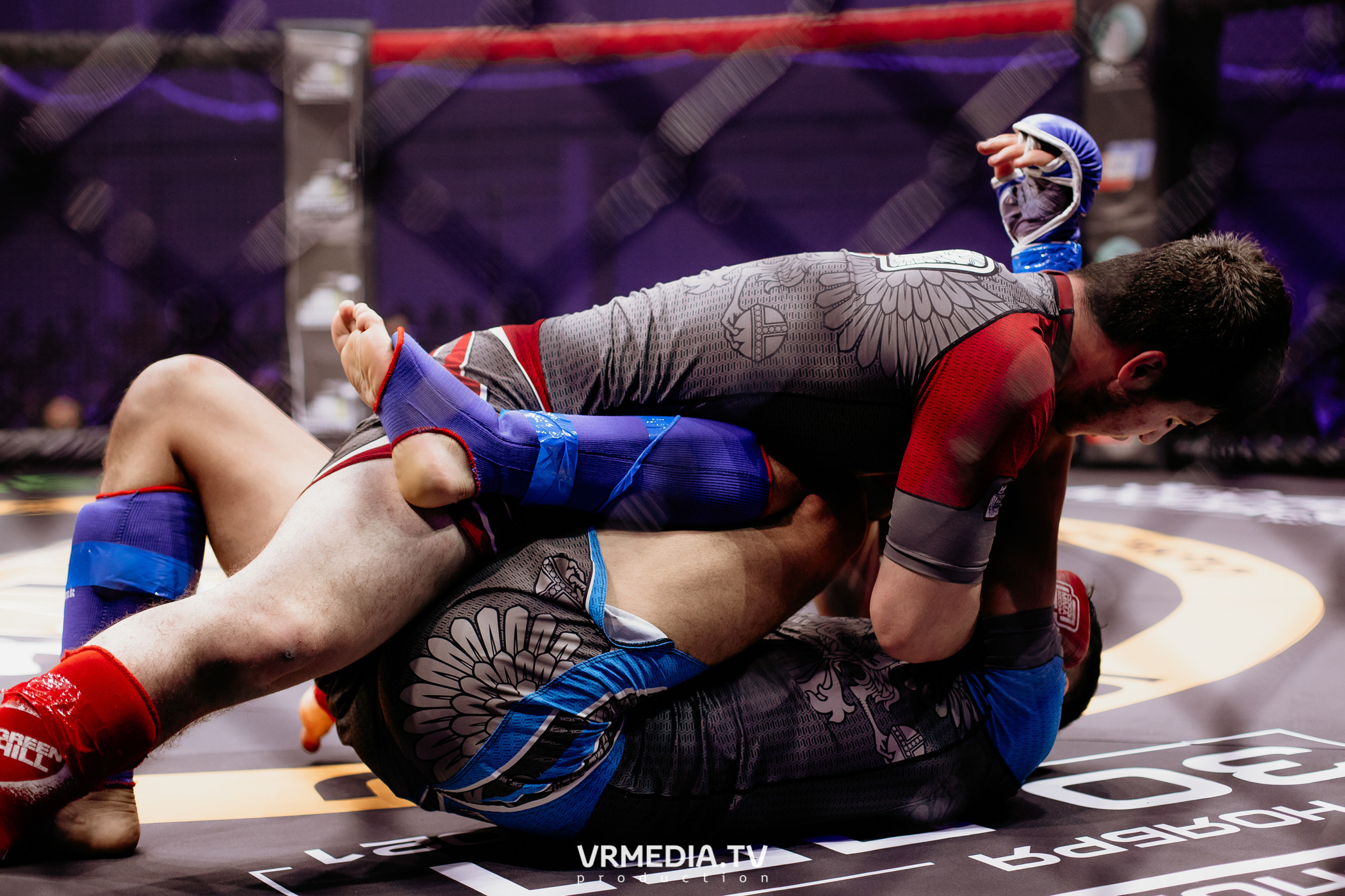 Благотворительный бойцовский турнир «Битва за добро»