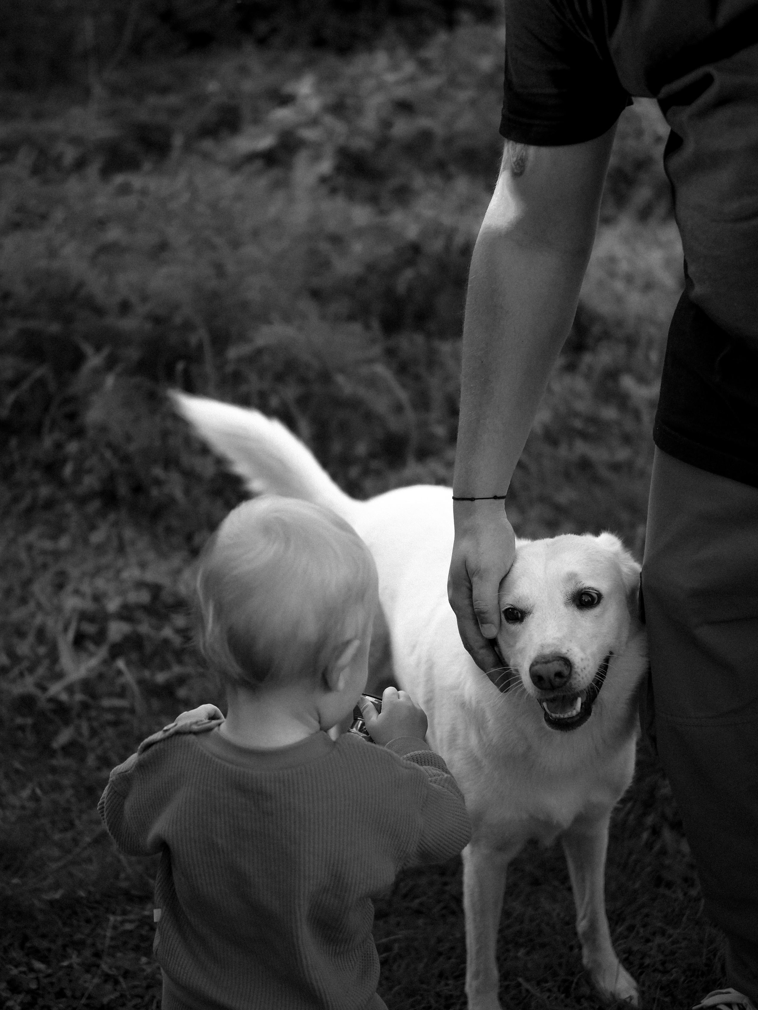 Поколения. Фотограф Рязань. Семейный Свадебный фотограф