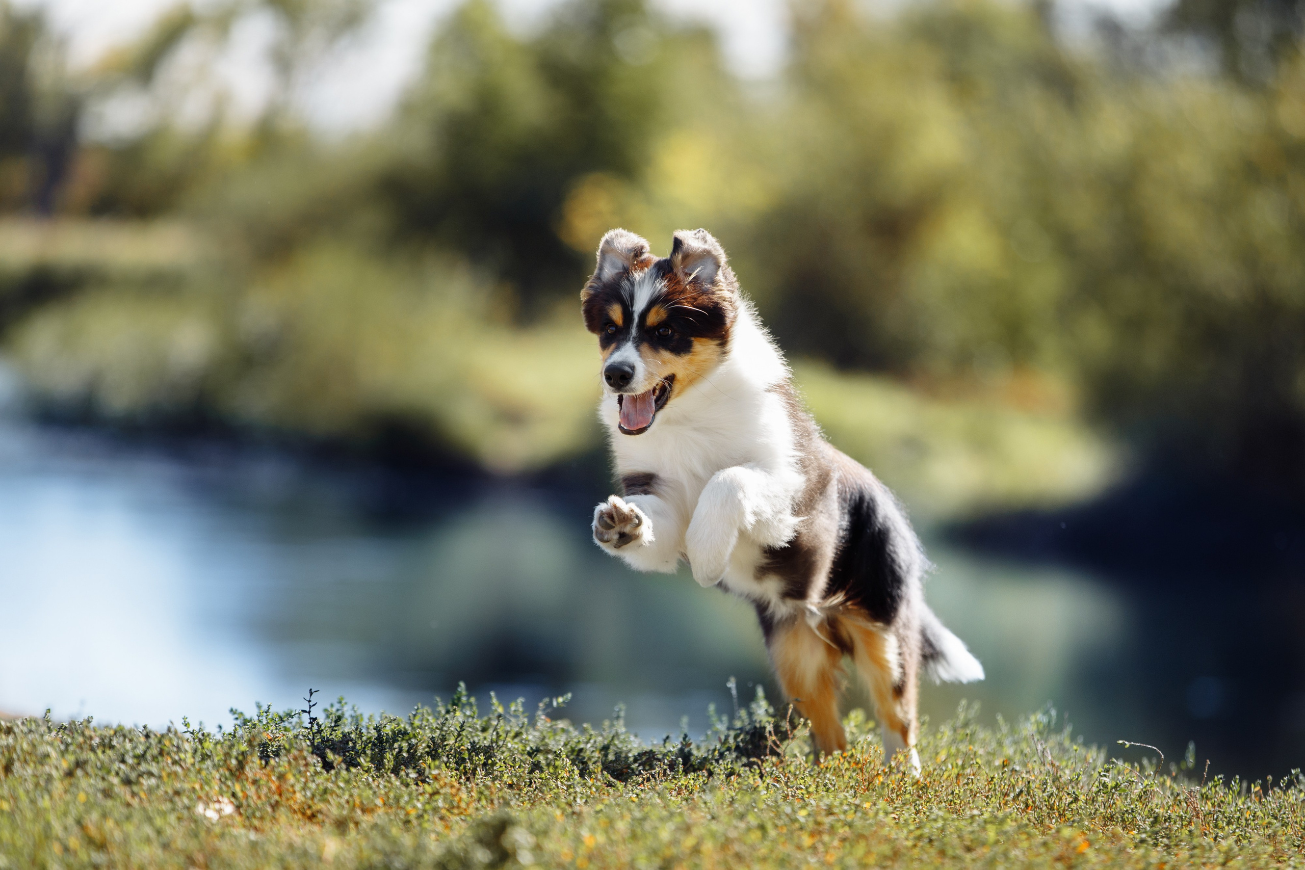 Водяные в Новотроицке. О нас