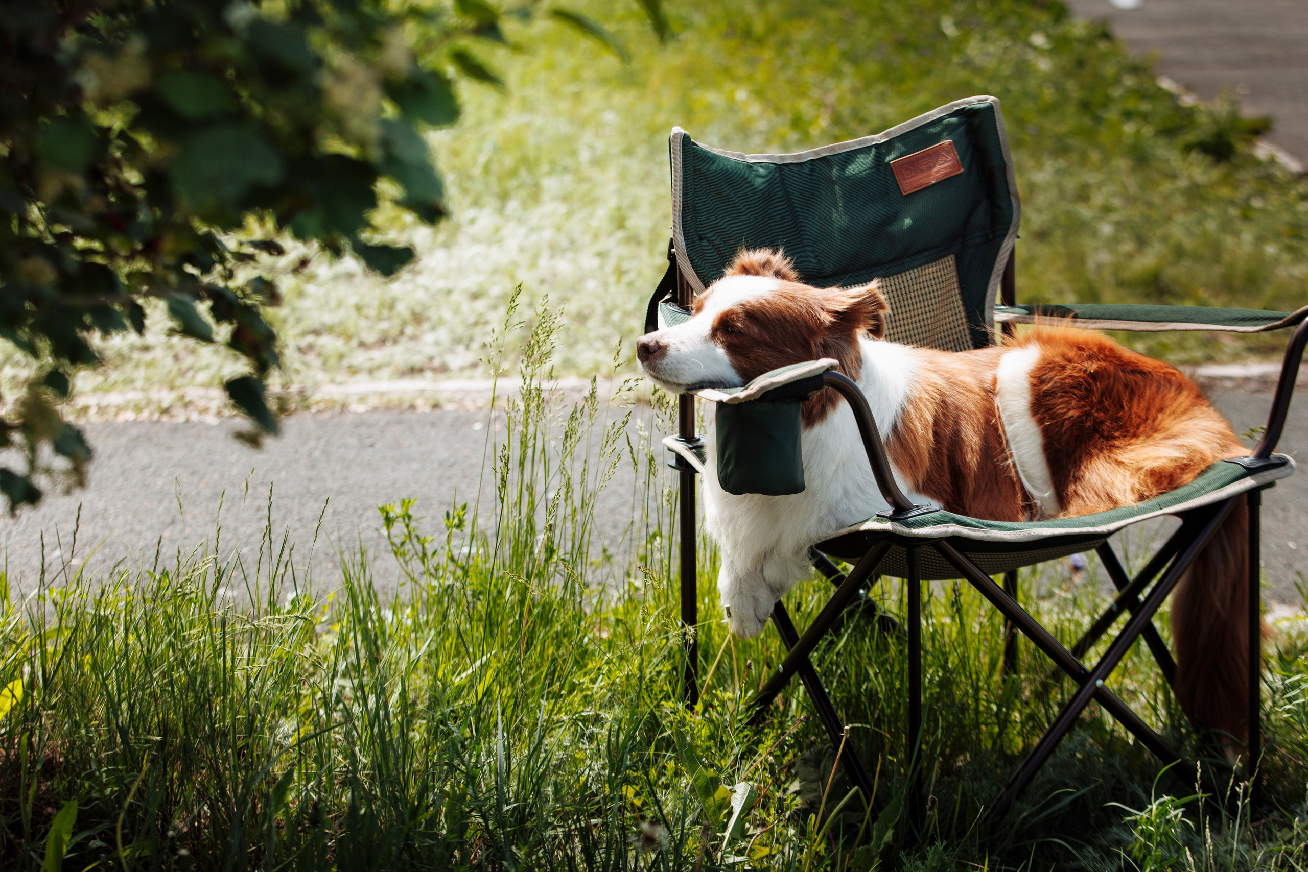 Такой разношерстный Орск 25. О нас