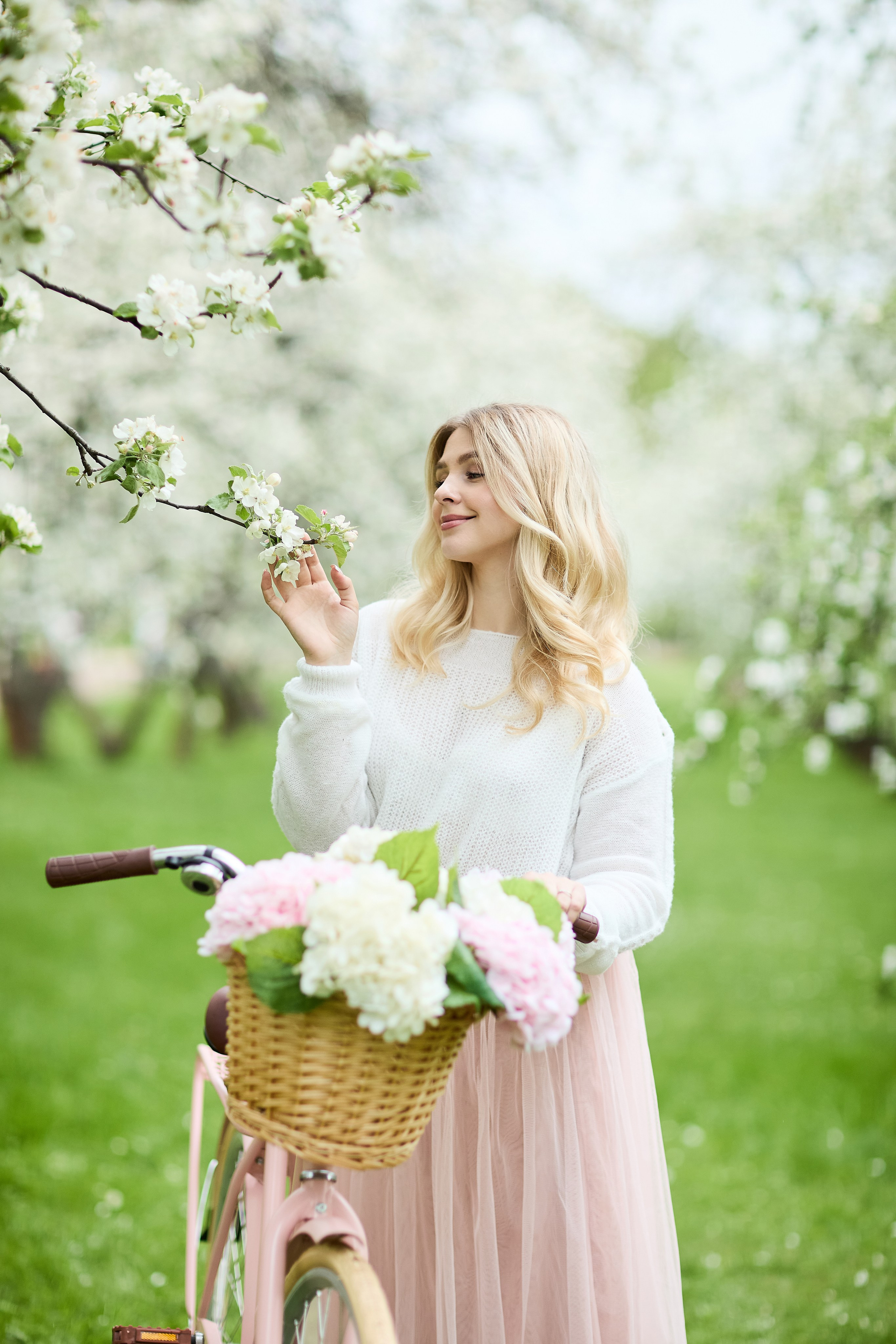 Яблони в цвету в Москве