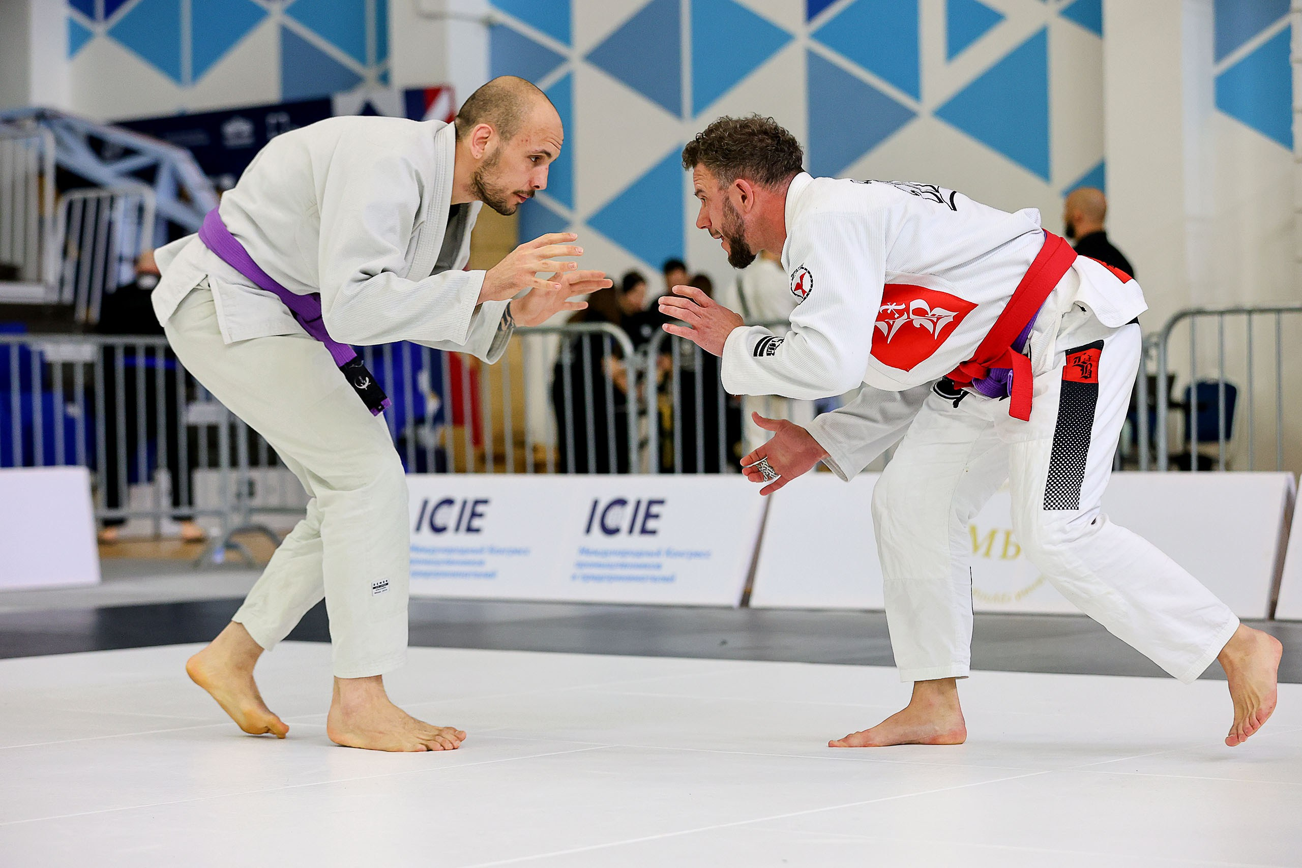BJJ. Спортивный фотограф в Нижнем Новгороде и Сочи Ангелина Ильичева