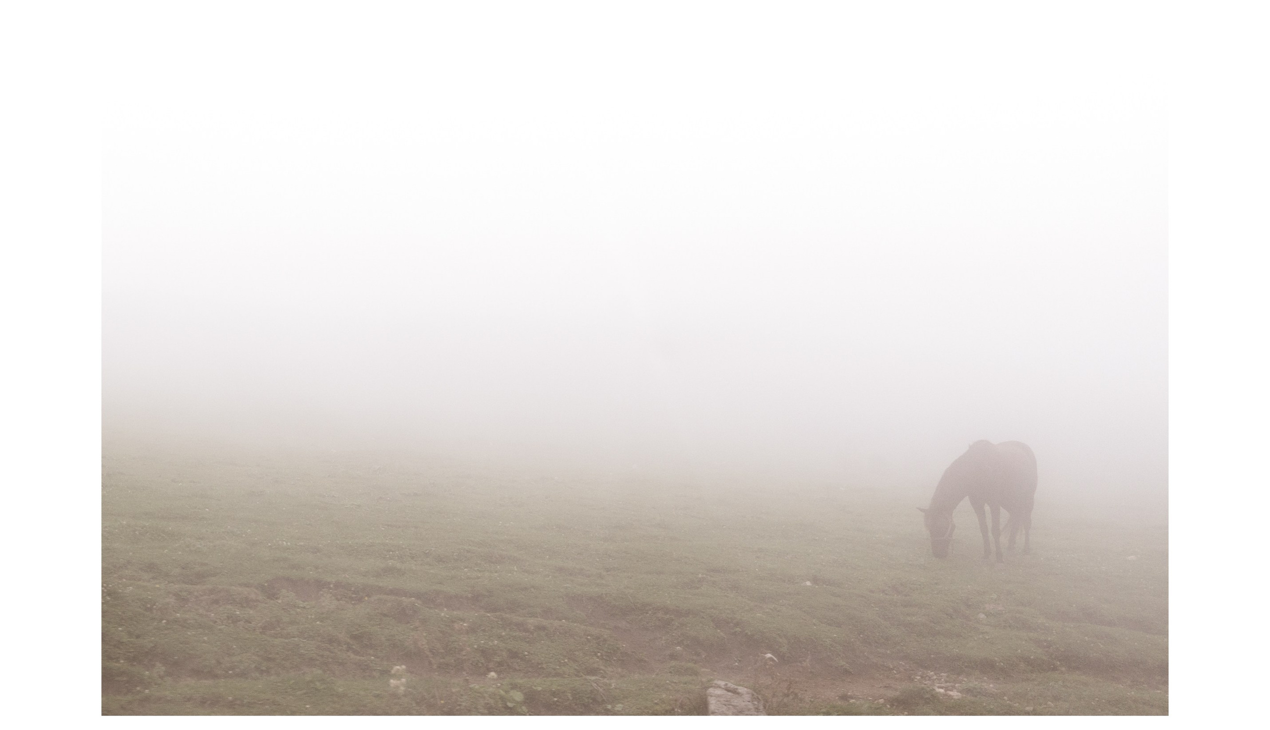 Интерьерные фотографии России. Фотографии Руслана Сайдалиева (Рус Сай)