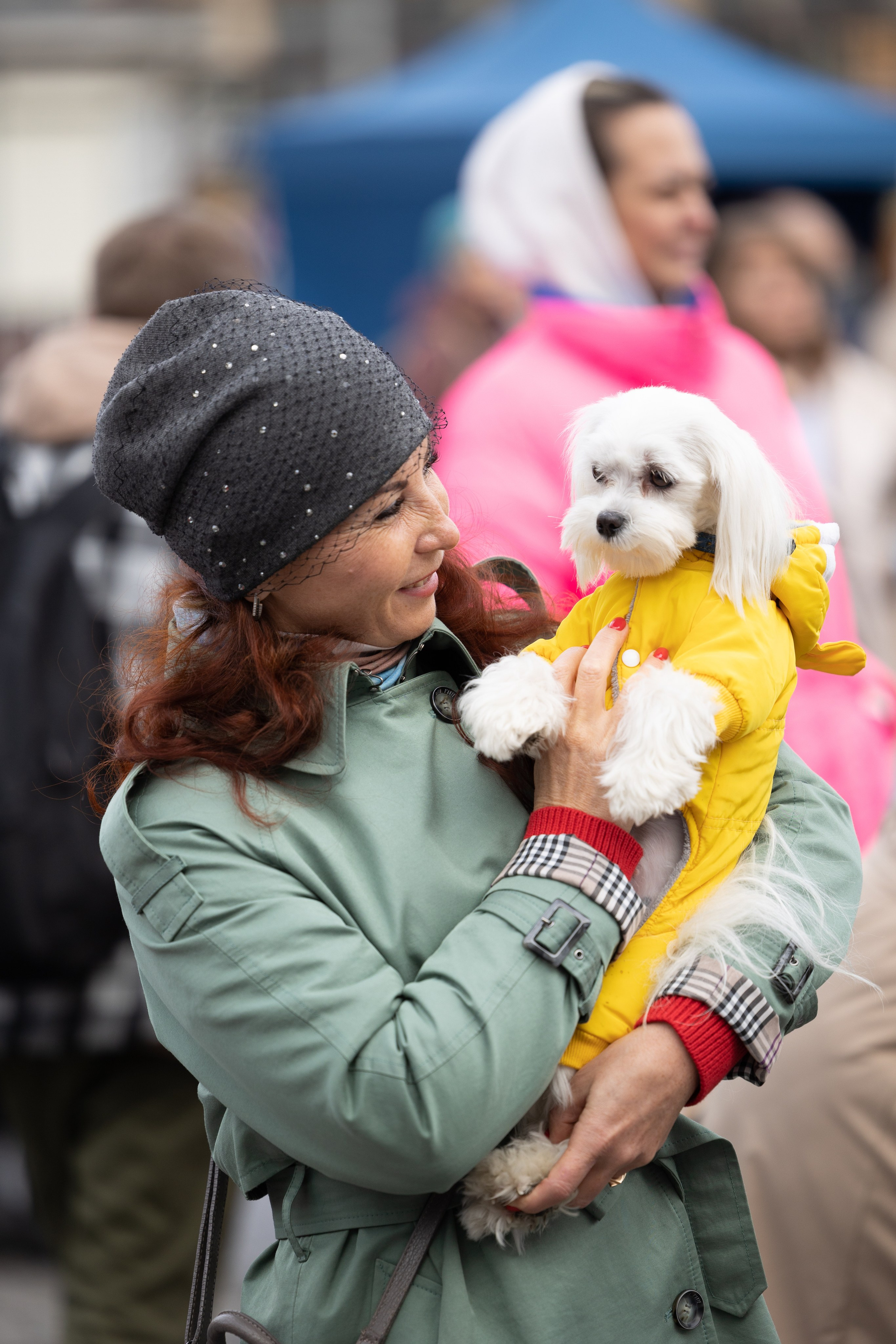 Кросс «Быстрый пёс», Балтийская Жемчужина. Главная