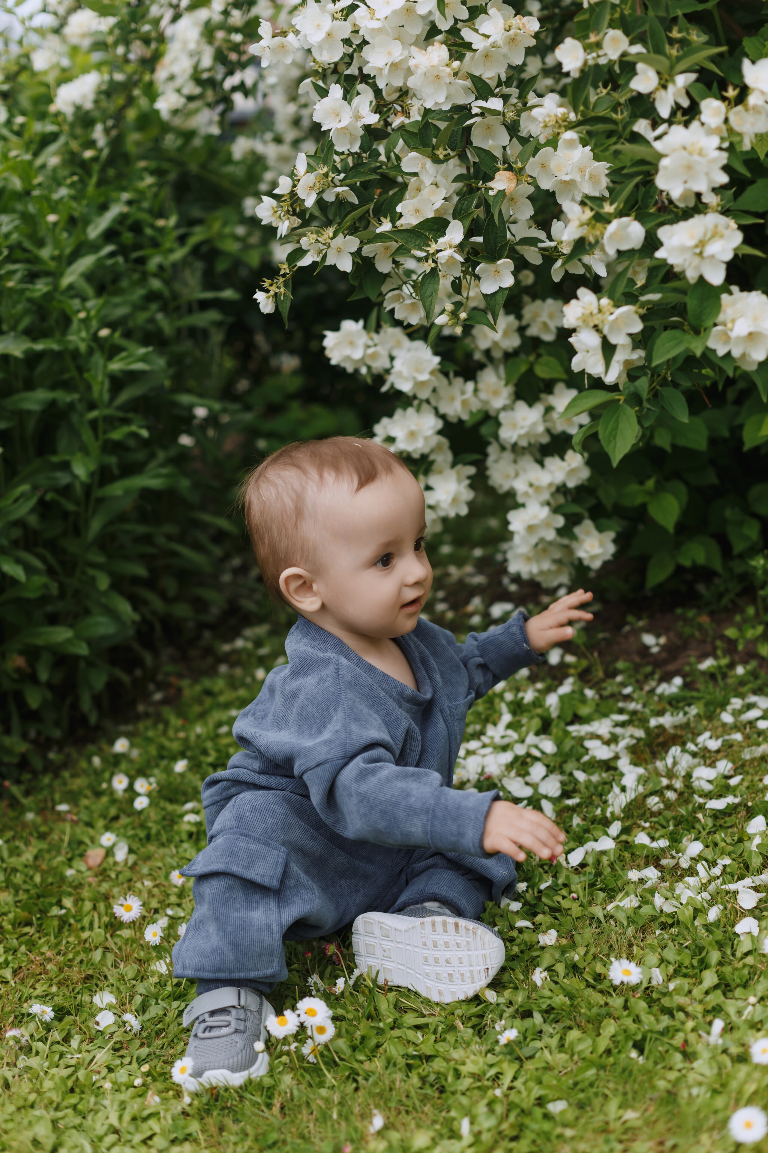 Большое Олино семейство. Профессиональный фотограф Надежда Антонова