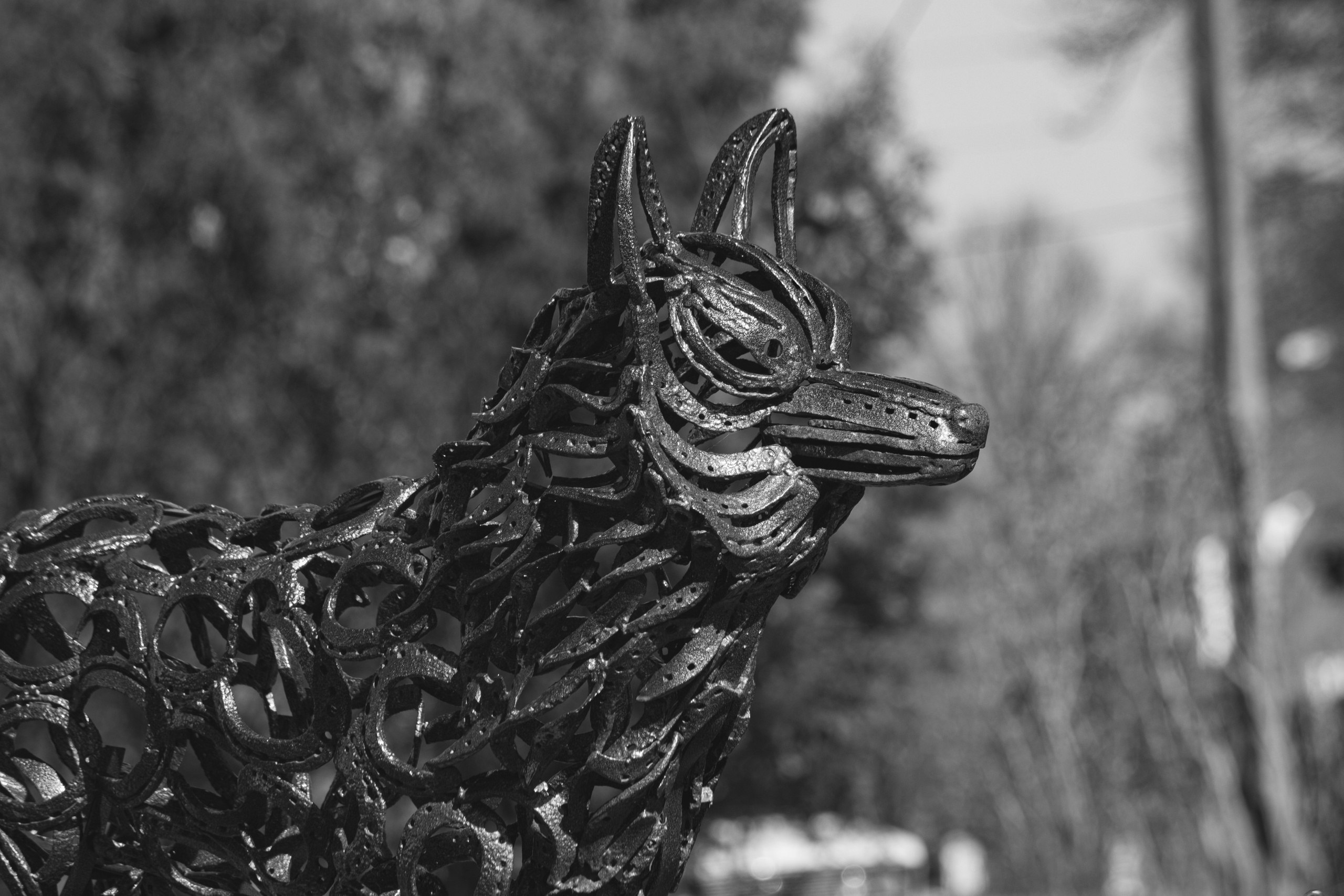 Ч \ Б. — Digital Noise —