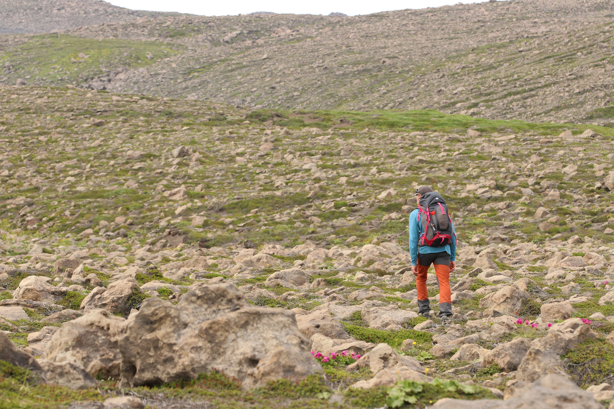 Камчатка и о. Парамушир. Июль 2024. Путешественник-фотограф из Санкт-Петербурга Татьяна Свистулина