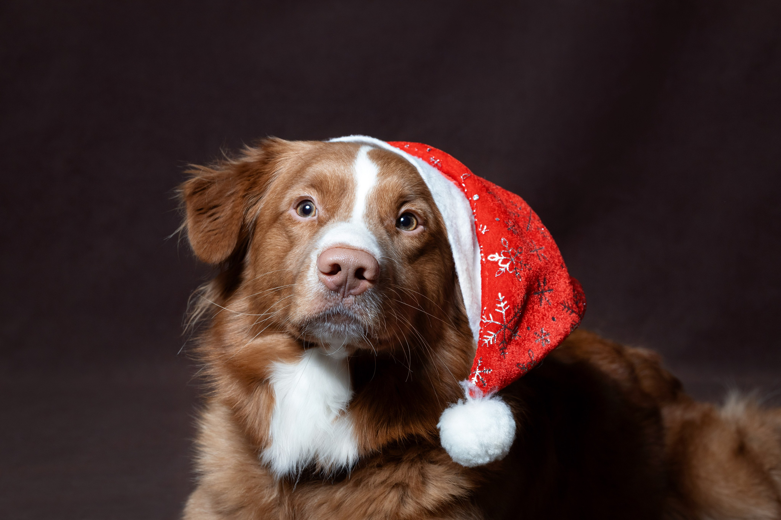 Ричард. Юлия Микульская. Рыбинск