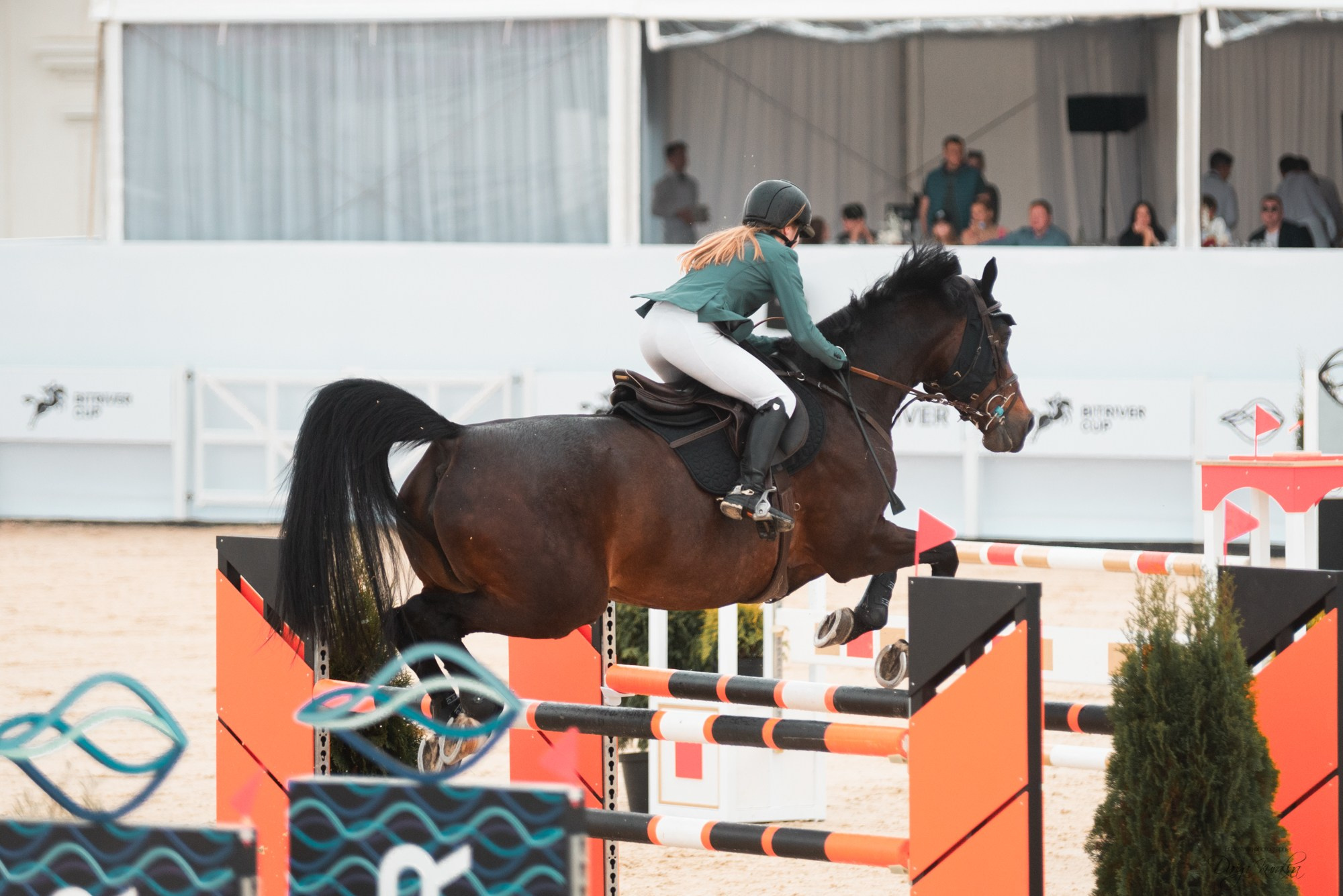 BITRIVER CUP 2023. Конный фотограф Куракина Дарья • Фотосессии с лошадьми