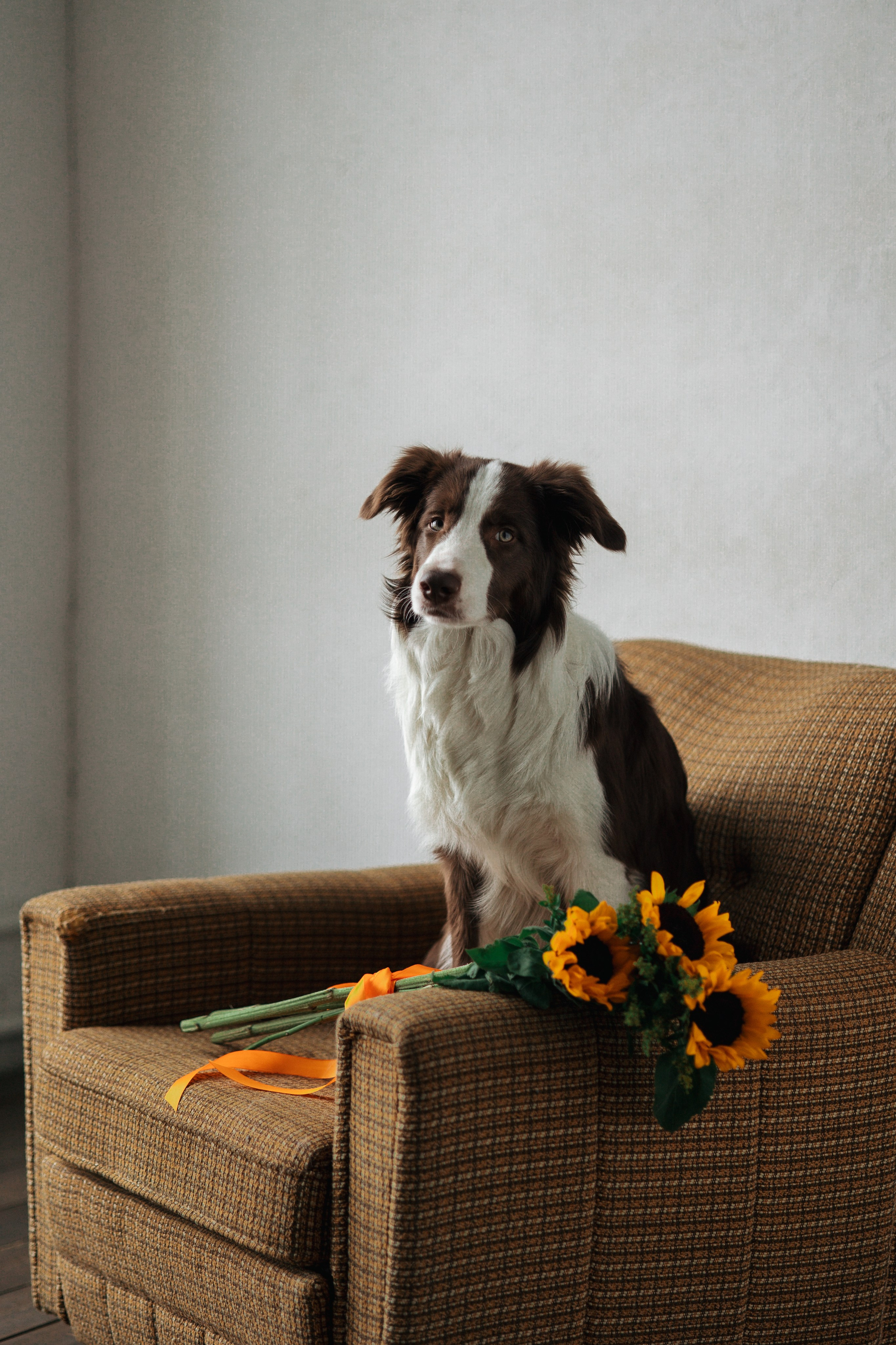 Настя и Симба. Фотограф — Анималист | Санкт-Петербург