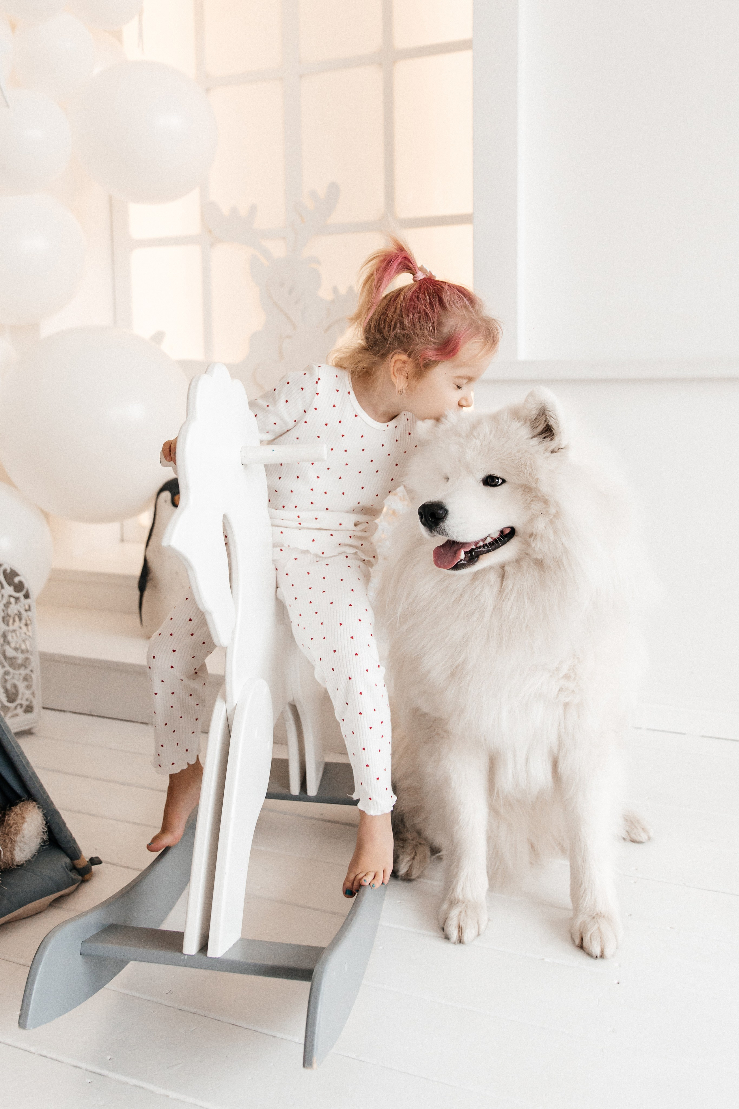 Отзывы. Самоед Новосибирск