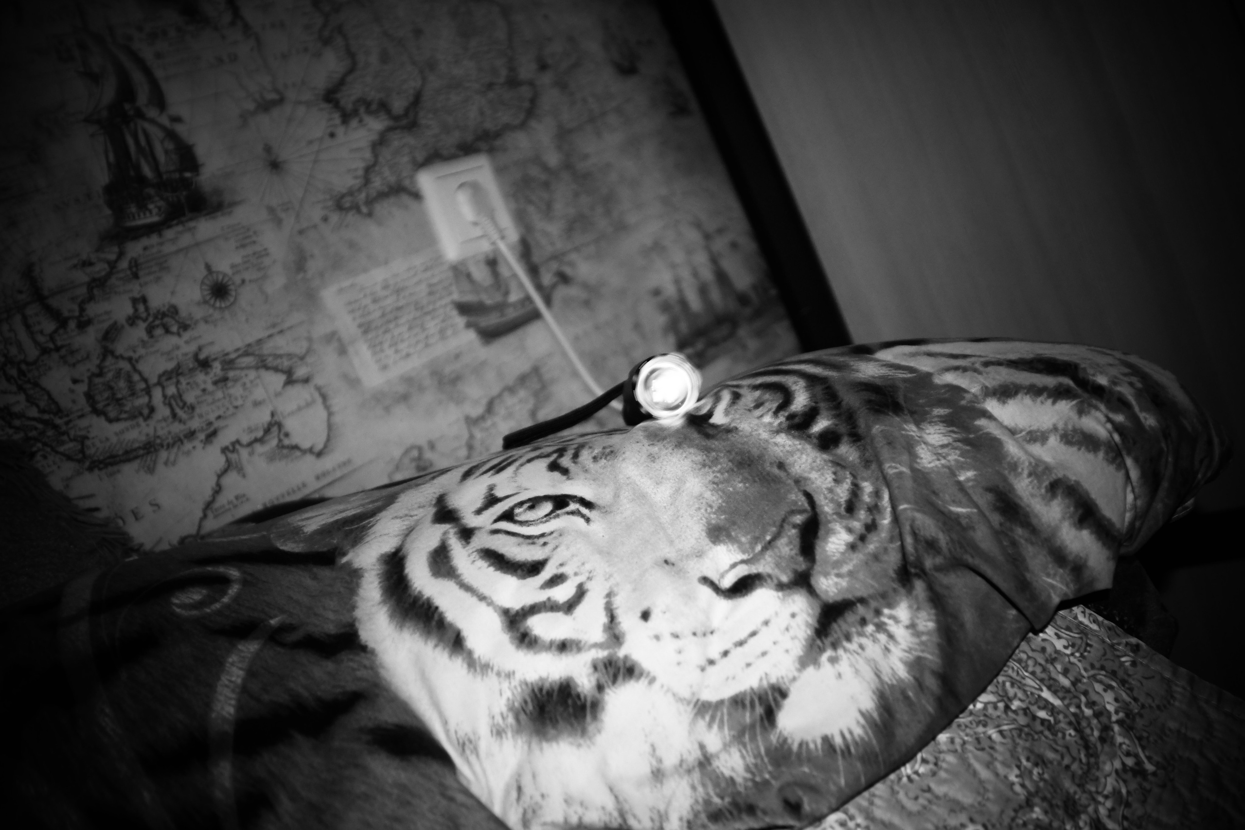 The dream of the dark world. Арт — фотограф Евгений Наймушин Новокузнецк