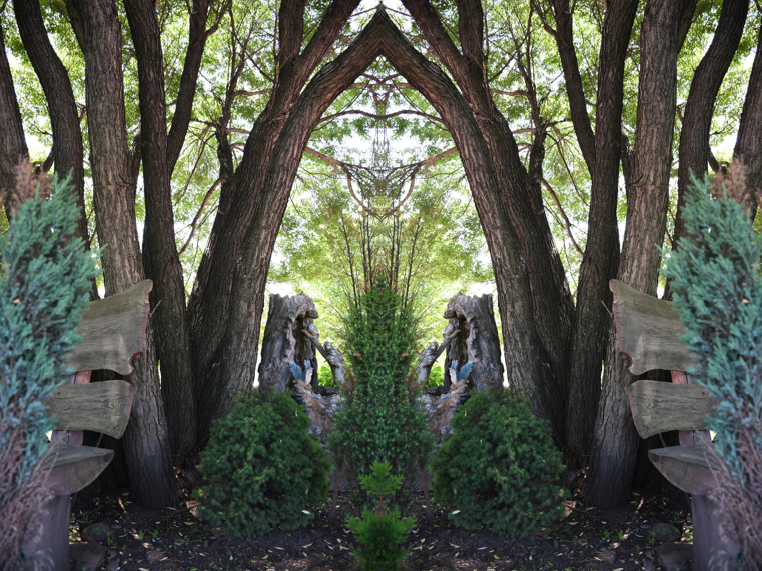 Urban flowers. Арт — фотограф Евгений Наймушин Новокузнецк