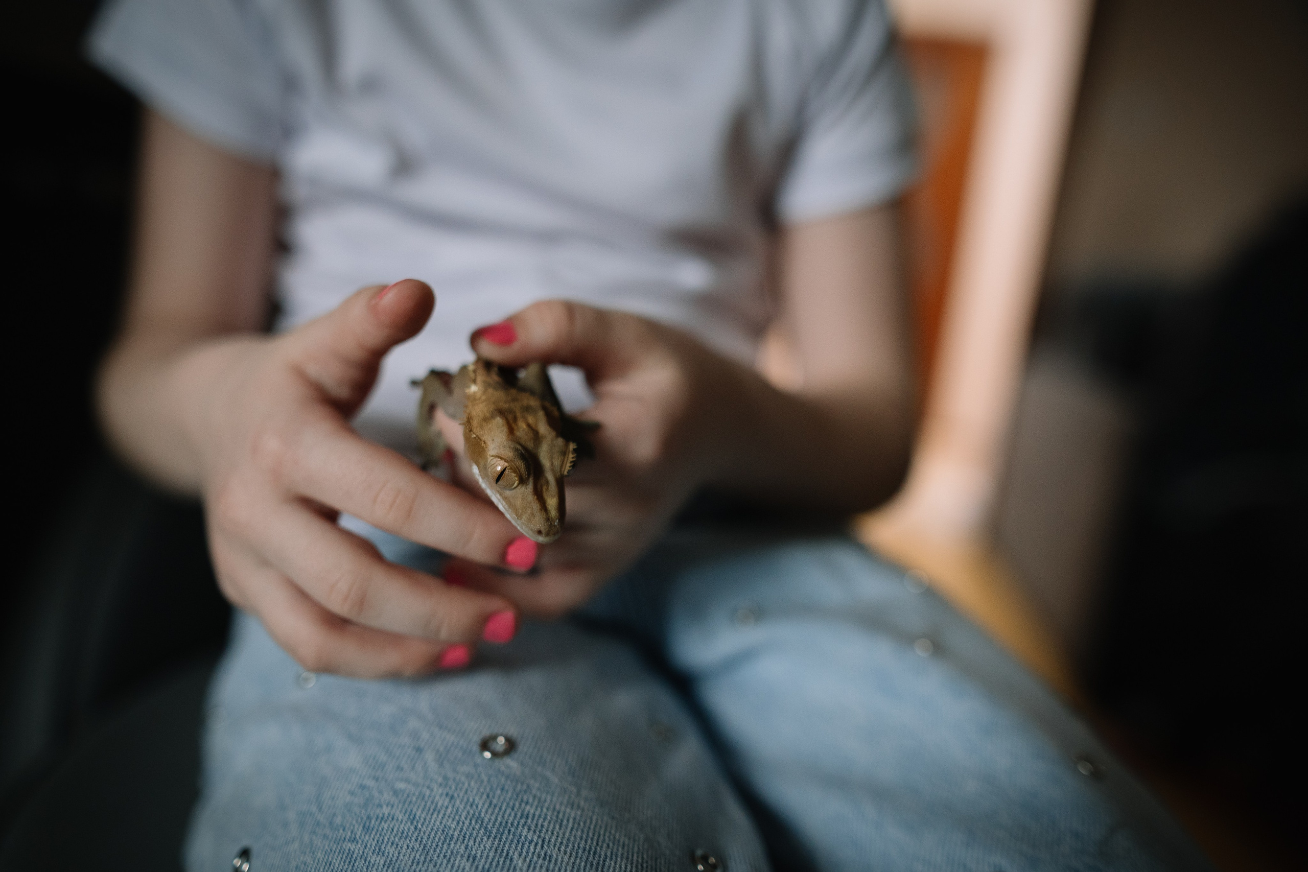 Маленькое чудо. Кристина Киссер |Фотограф | сняла ⩾ 2000 съёмок | главная по атмосфере