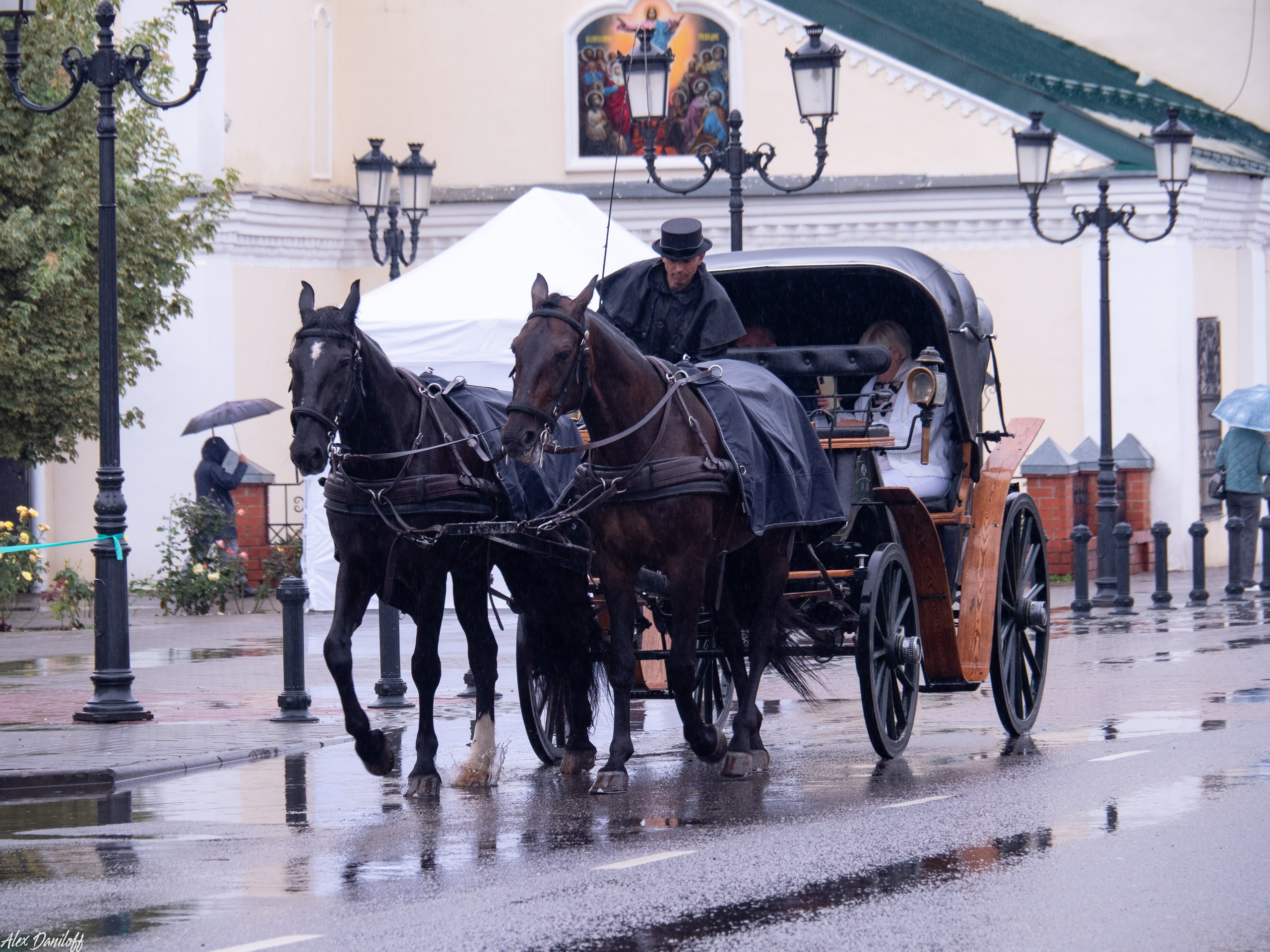 День города Муром 2025. Муром-Инфо. Новости культуры, образования, спорта в городе Муром