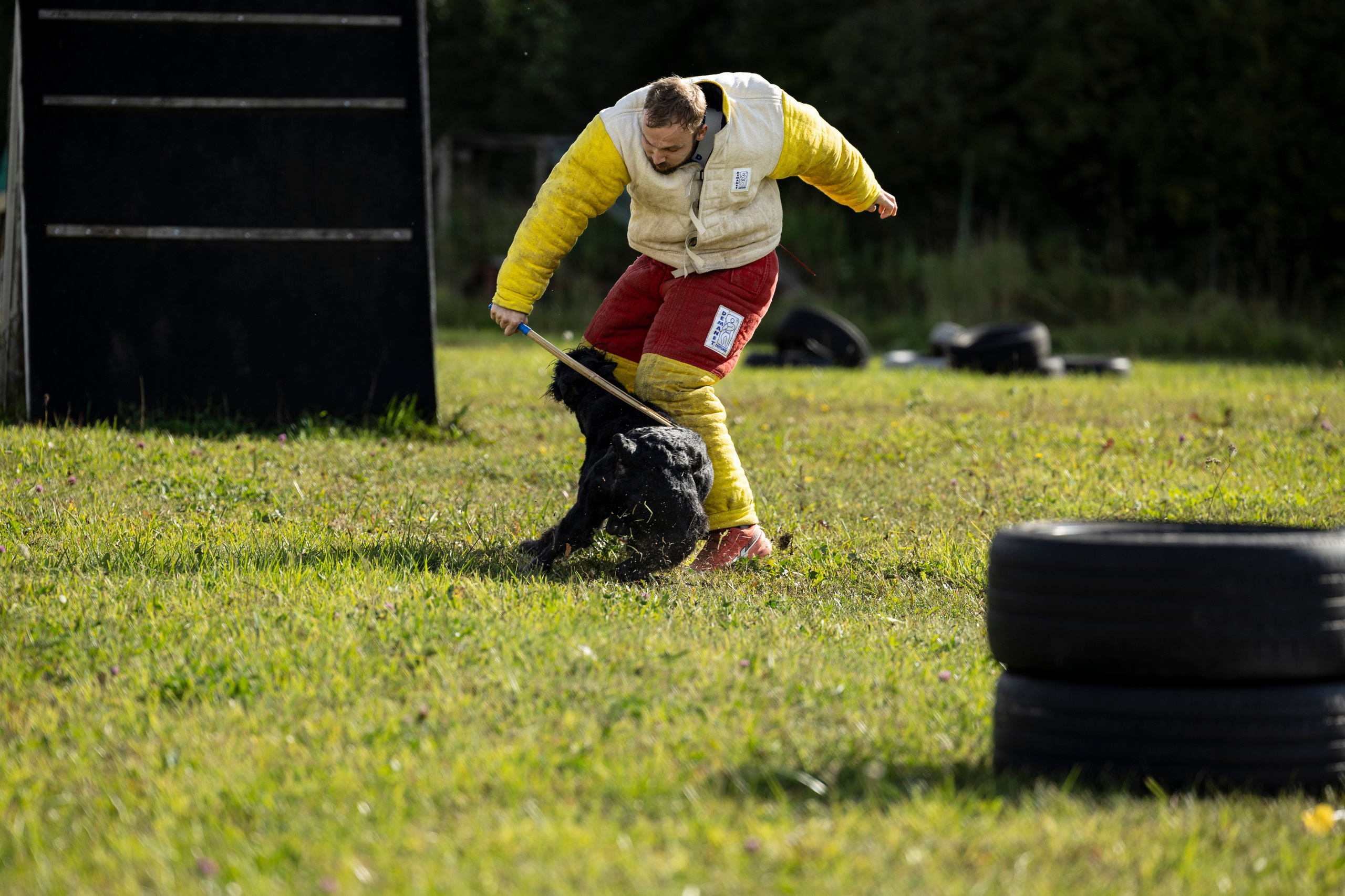 Испытания по Мондьорингу г. Пушкин. Фотограф-анималист Анна Маринич