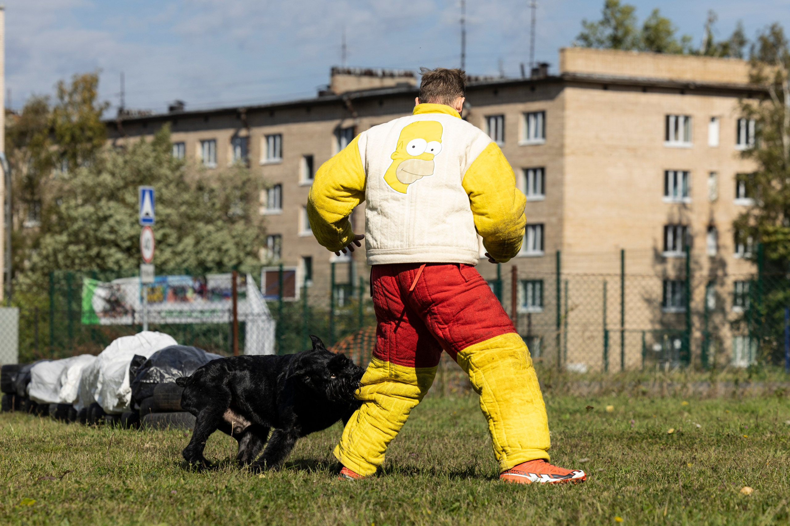 Испытания по Мондьорингу г. Пушкин. Фотограф-анималист Анна Маринич